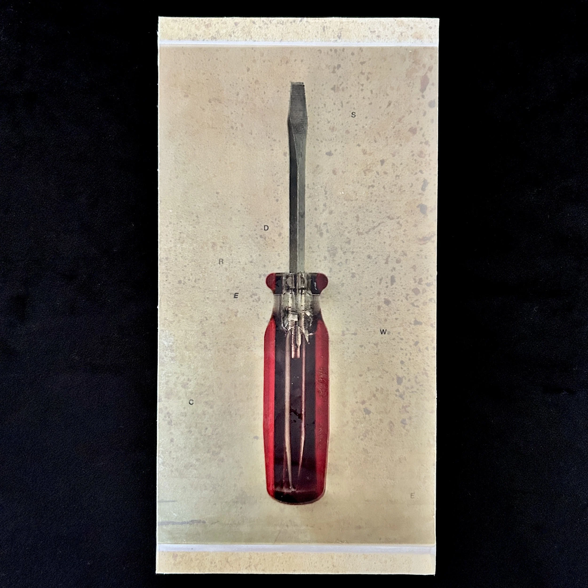 'Screwed', photo encaustic, 6x12", 2025 (sold)