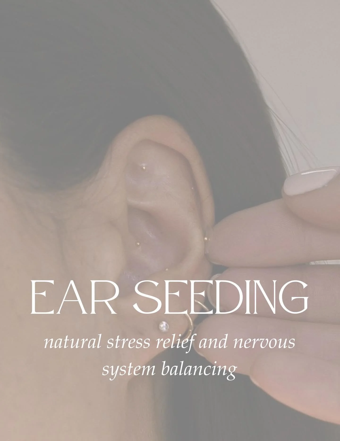 ✨ Ear Seeding Pop-Up ✨
Join me at Rally Around Peace Festival September 27th for a gentle reset 🌿
I’ll be offering 24k gold ear seeds — a simple, non-invasive way to support stress relief, calm the mind, boost energy, and restore balan