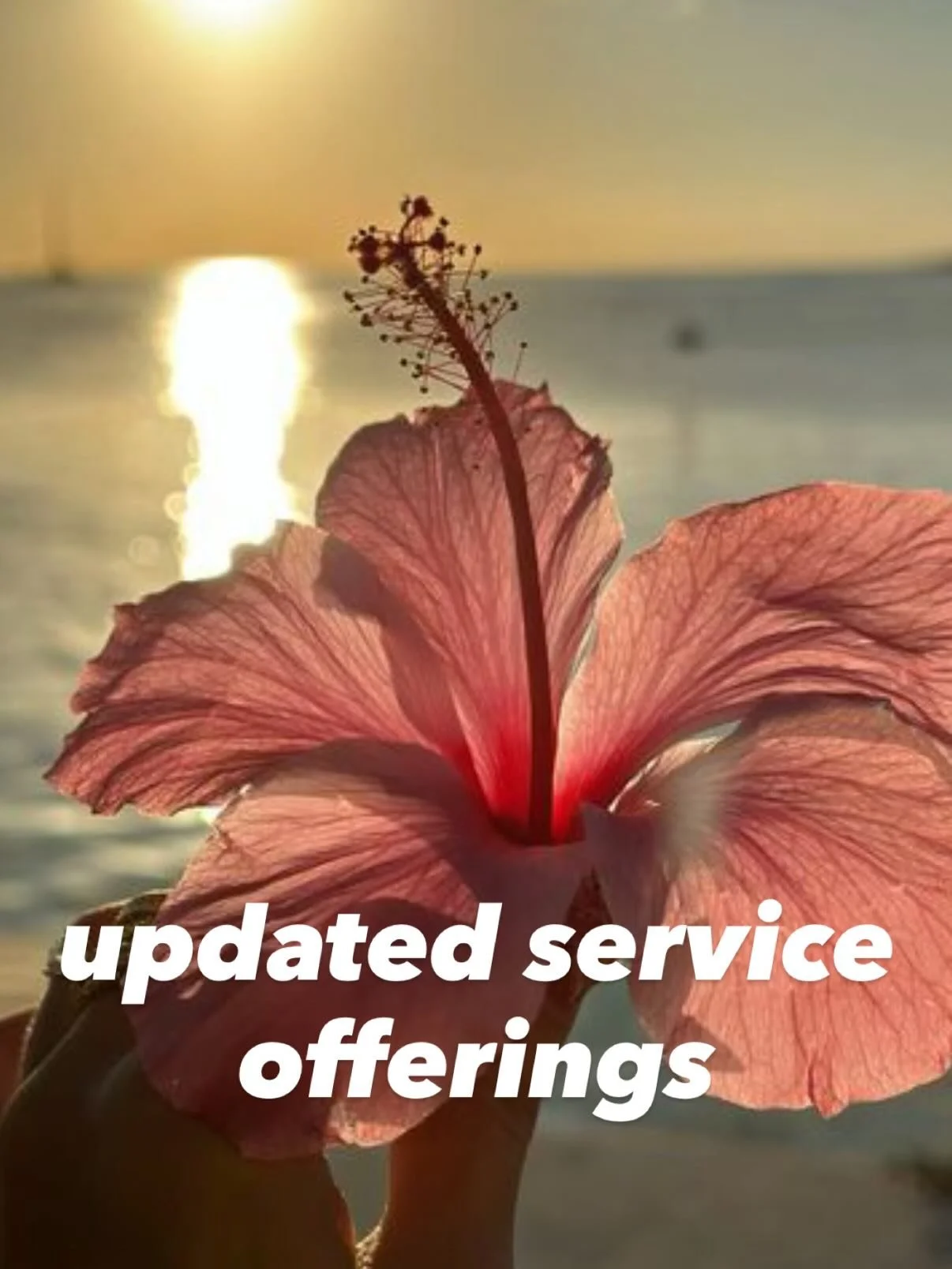 that new new ✨✨ 

if I have to have my favorite, this has to be it 

see you in the studio 
xx, Dr Emily 

Ps. check out the website for other updates and new pricing on services 🌀☁️🪽