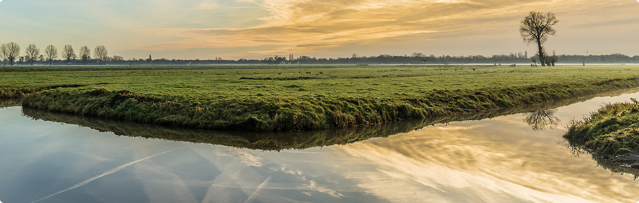 A serene landscape with a calm river, green fields, a solitary tree, and a sunset sky with clouds.