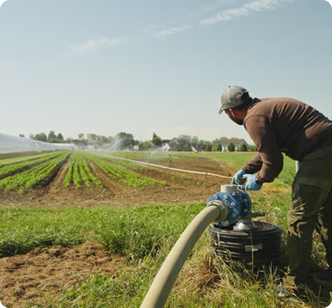 A farmer watering crops on a farm with green plants in neat rows under a clear sky.