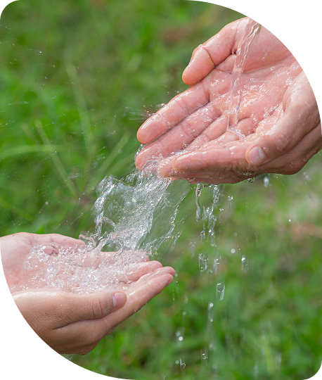 Two hands, one older and one younger, are washing each other with water outdoors on green grass.
