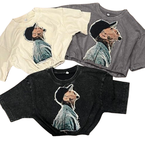 Chris Brown Crop