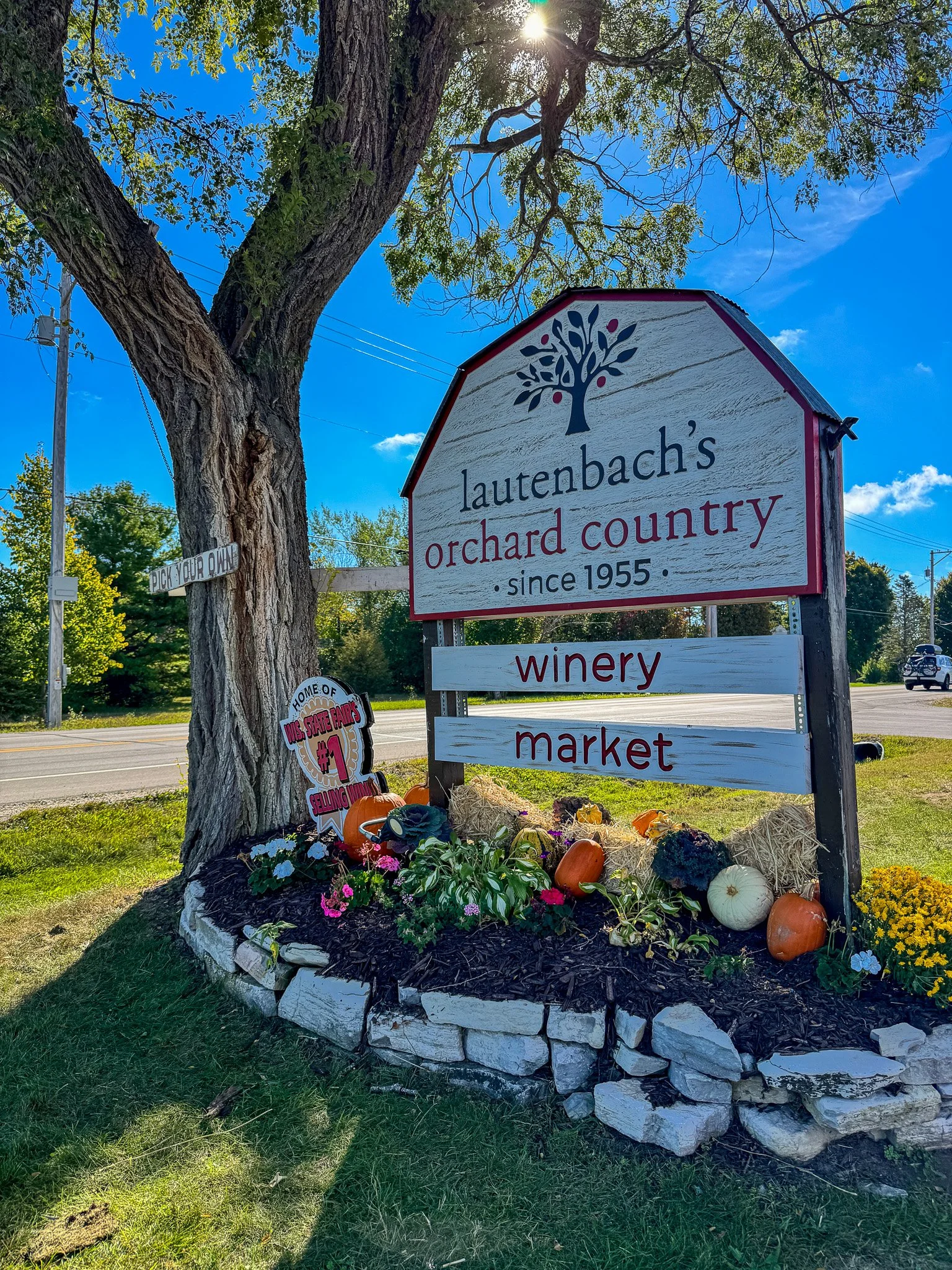 Lautenbach's