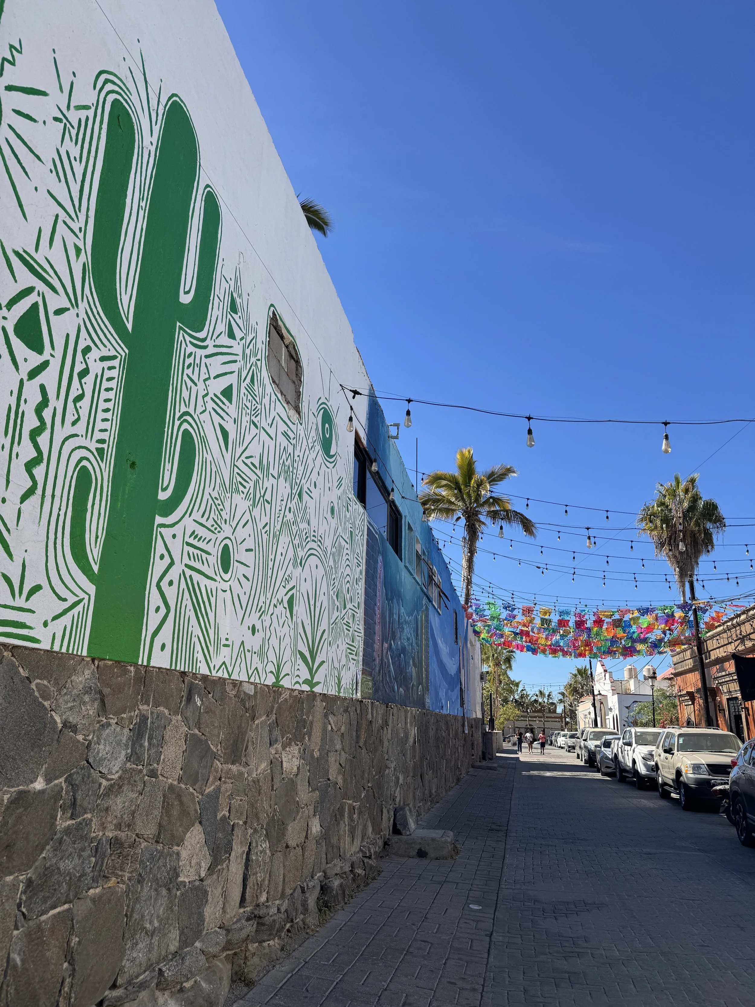 street art featuring bright green cactus and line on a historic street in todos santos
