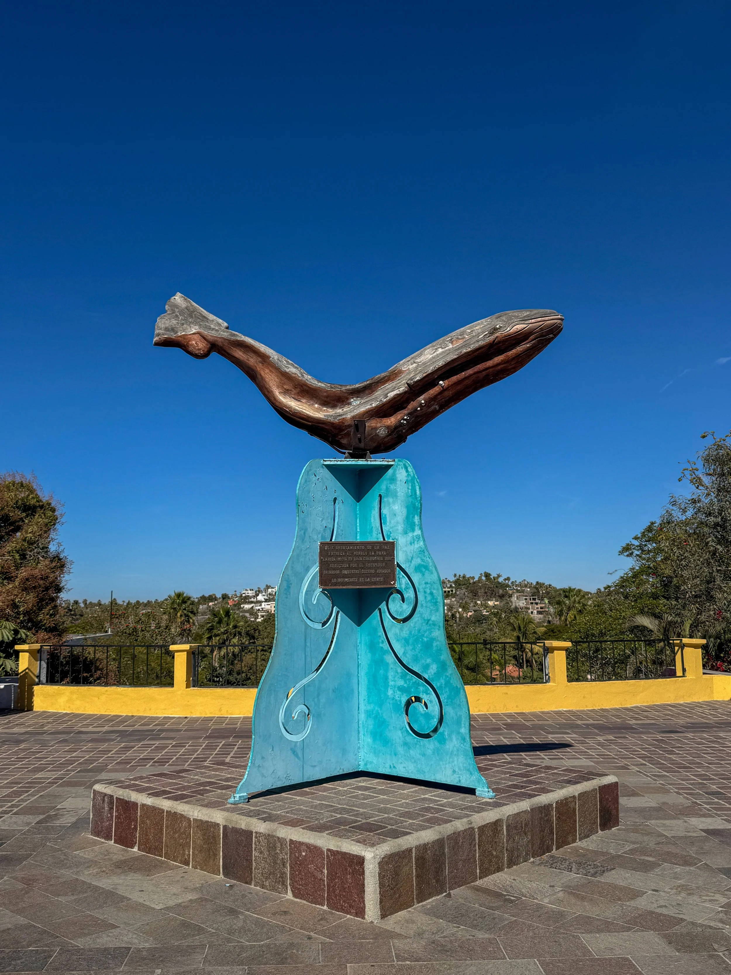whale sculpture in Todos Santos