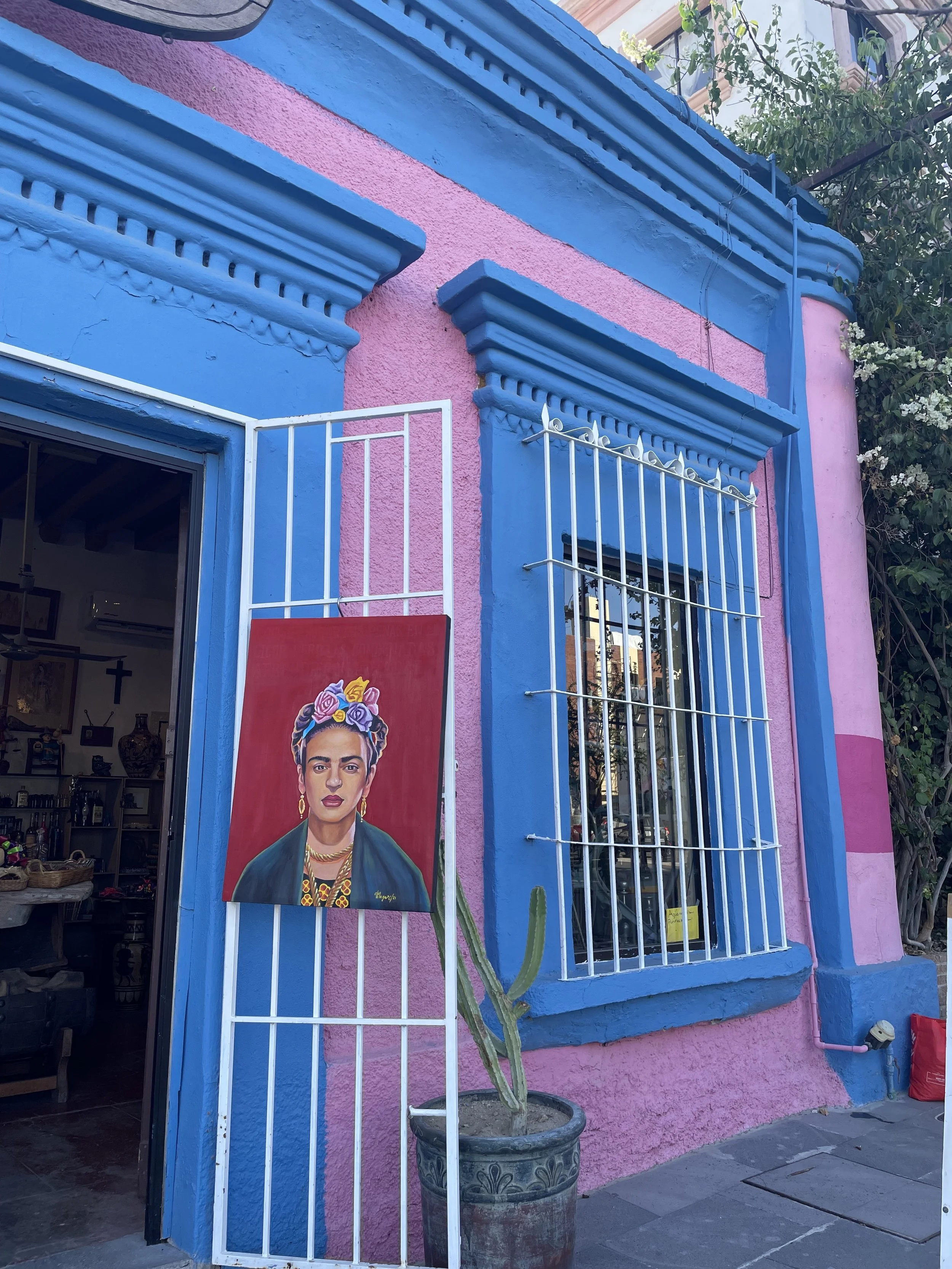 street art in San Jose del Cabo, Frida Khalo (Copy)