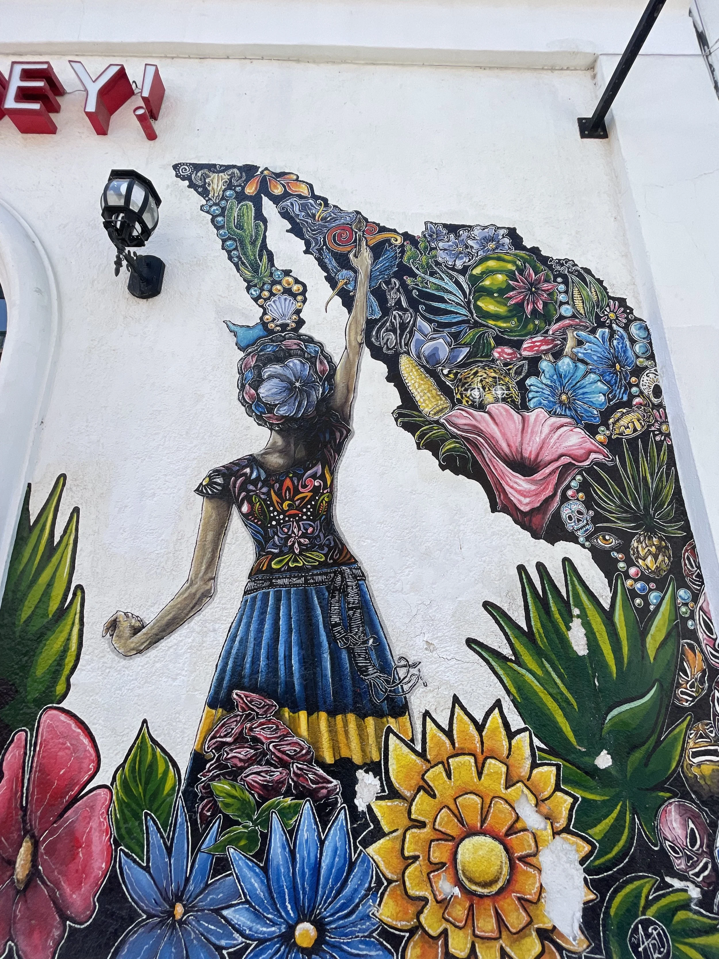 Where to Stay in San José del Cabo; My Top Areas &amp; Hotels