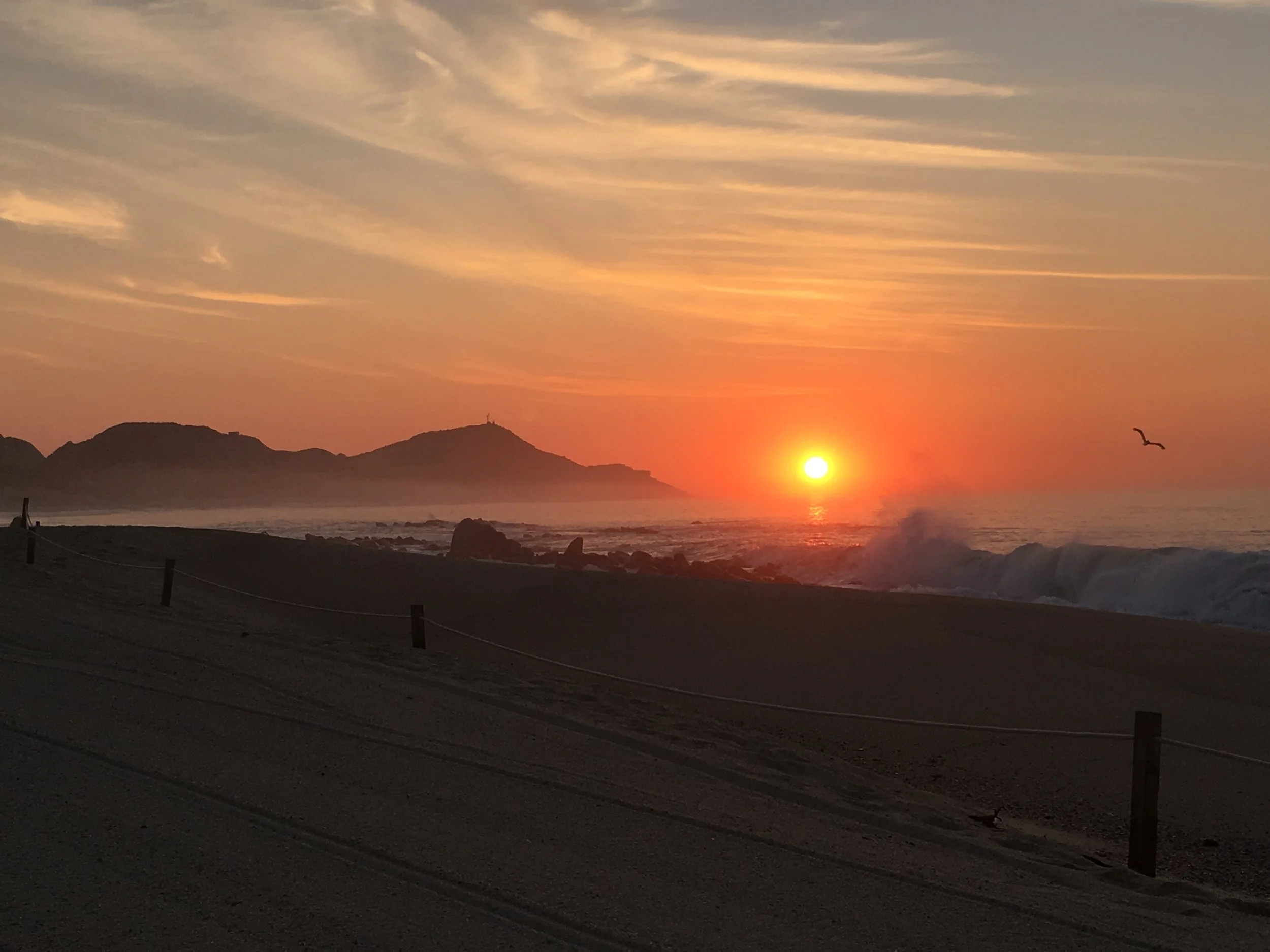 Comparison: Cabo San Lucas vs. San José del Cabo vs. the Tourist Corridor