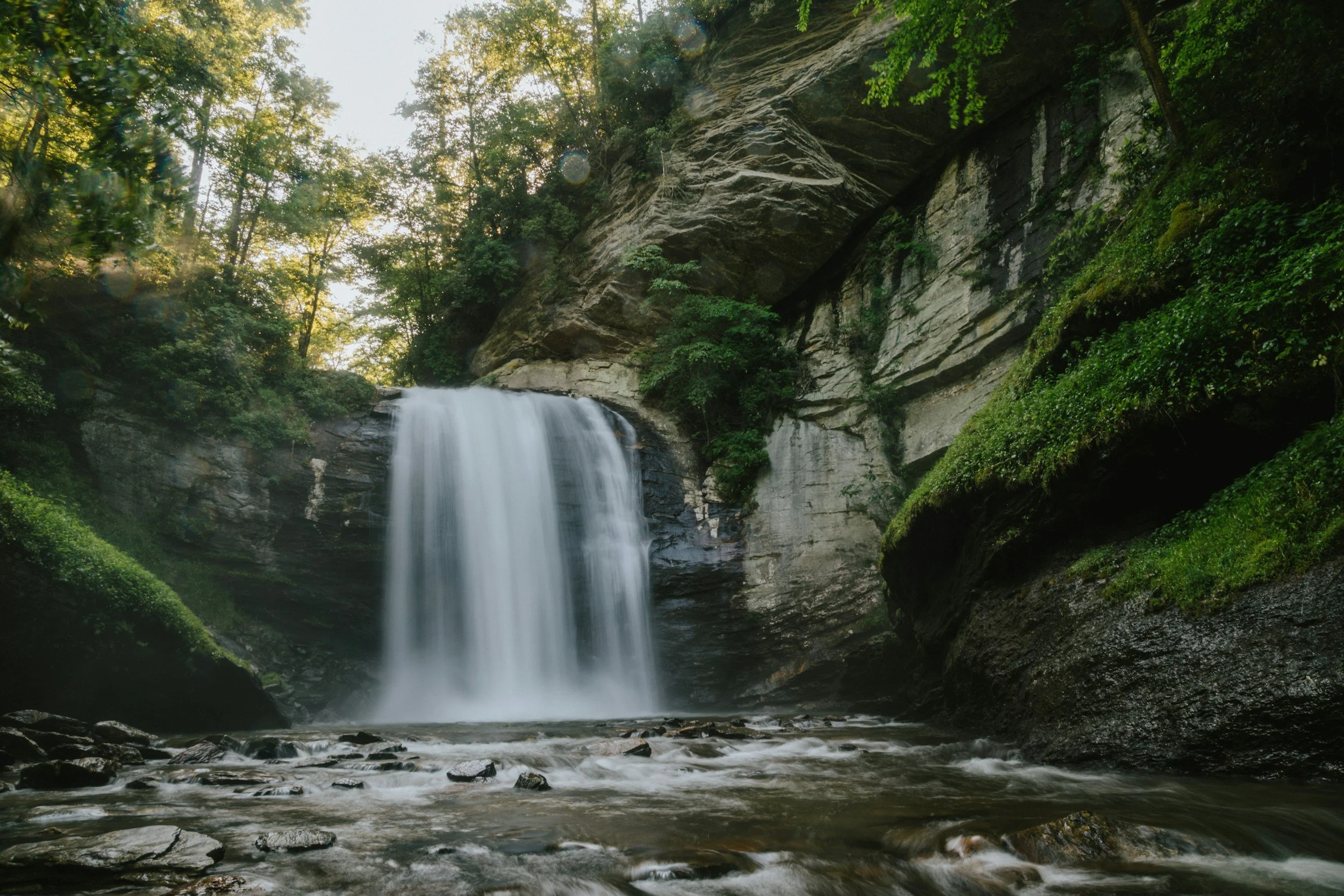 Looking Glass Falls flowing over rocks in a lush green forest with tall trees and sunlight filtering through the canopy.