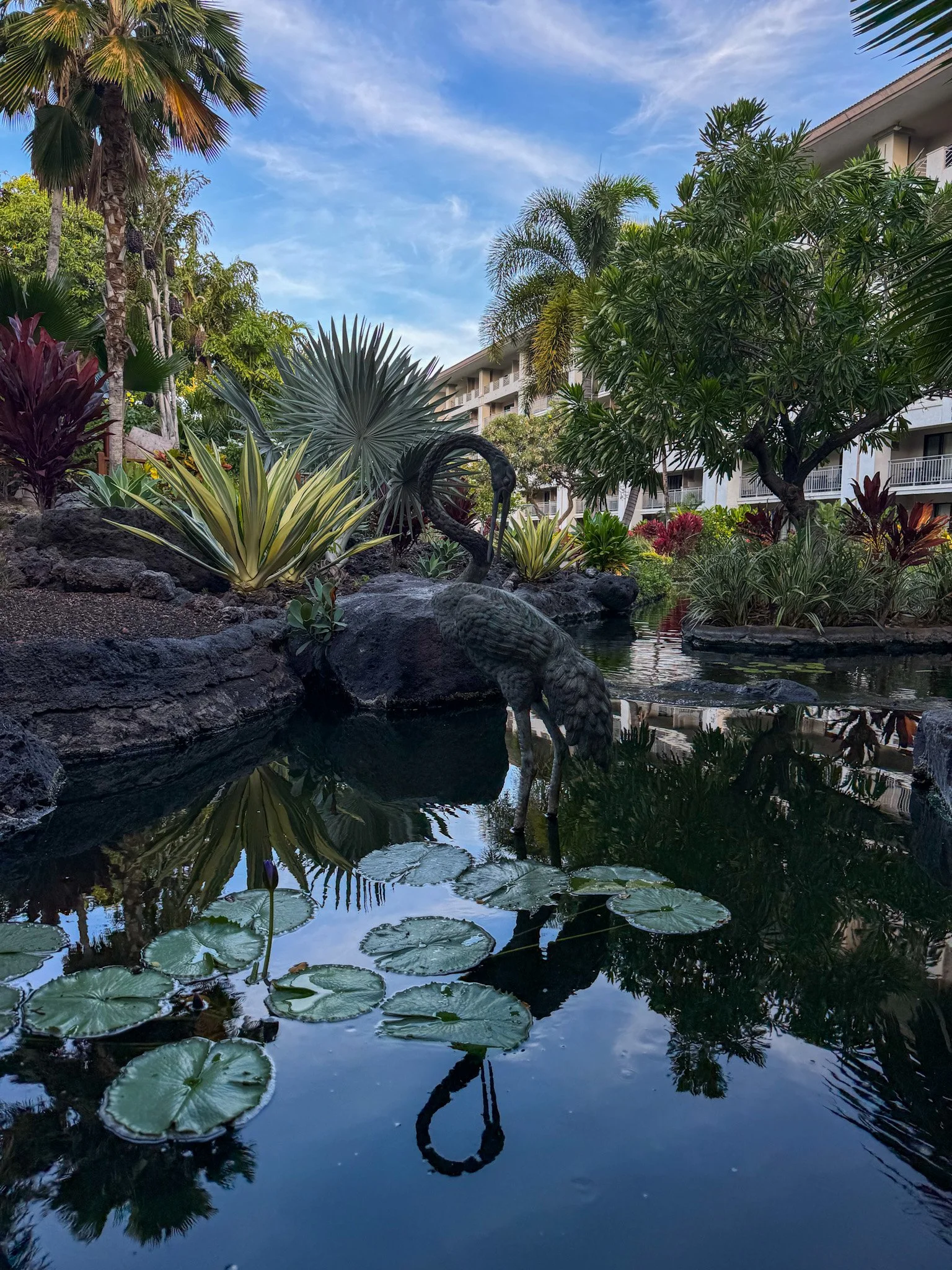 Fairmont_Orchid-6.jpg