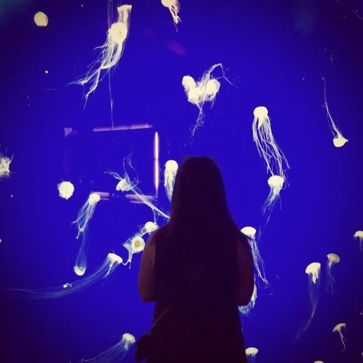 author with jellyfish exhibit at the Georgia Aquarium