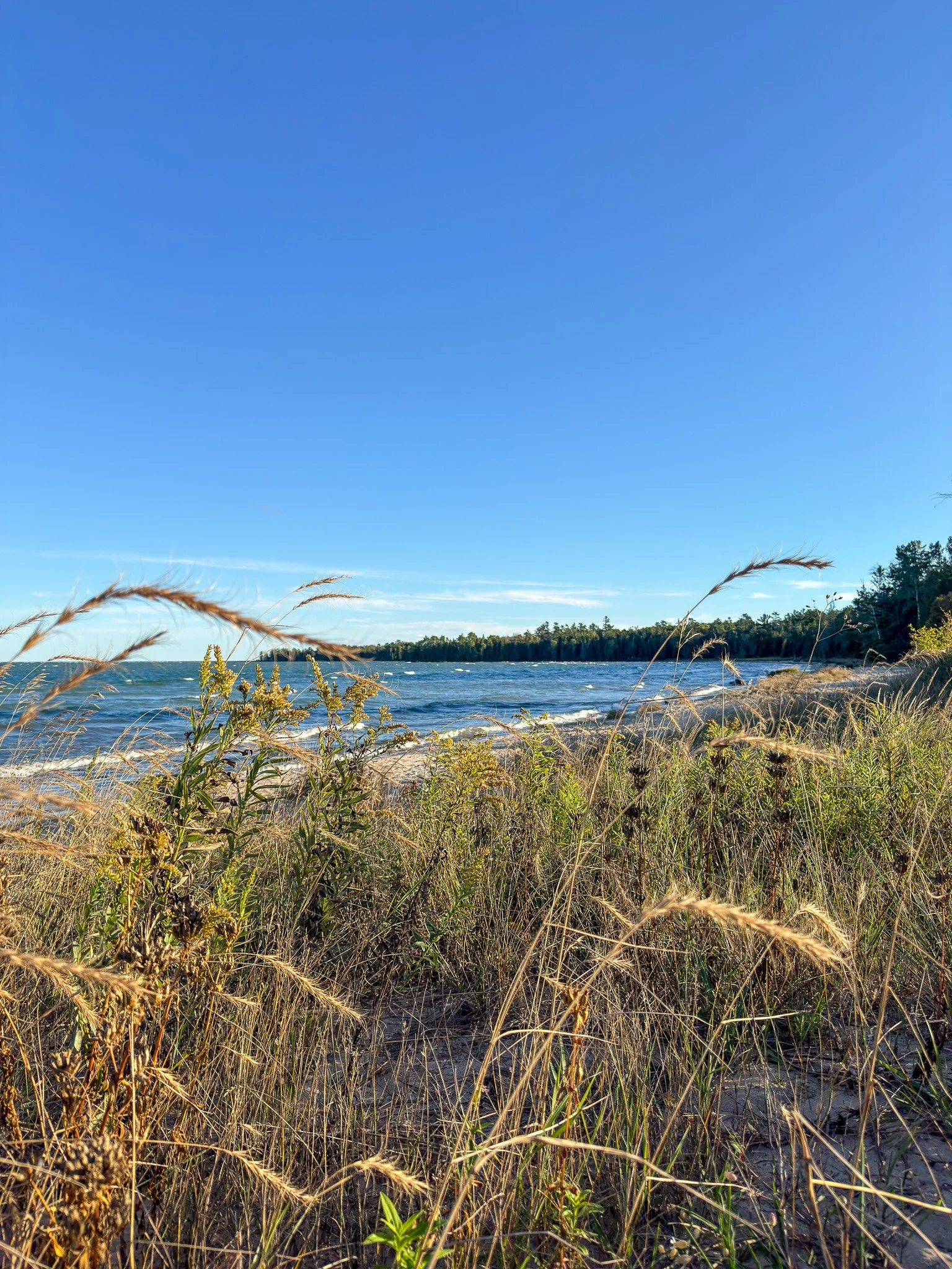 Newport State Park