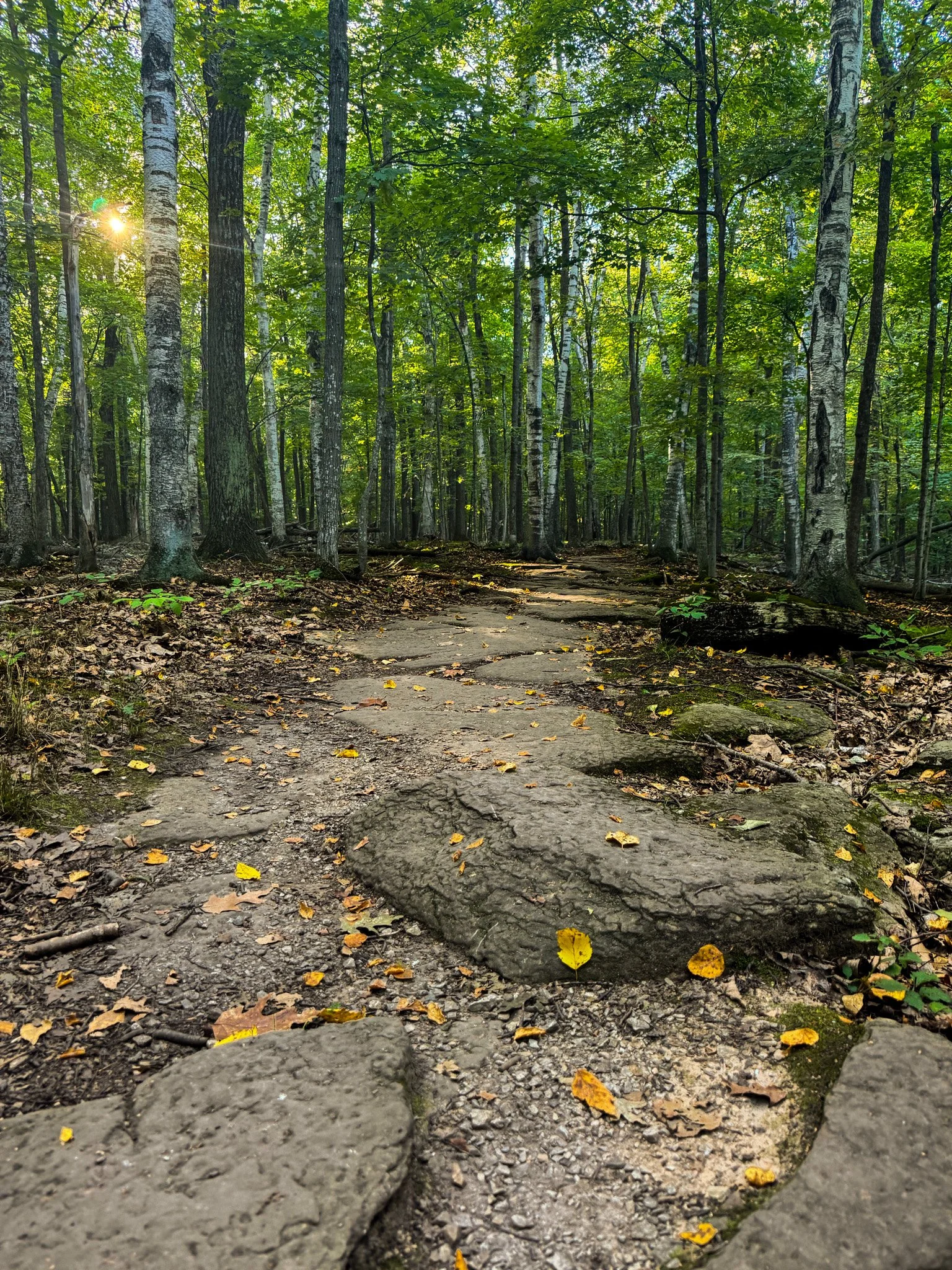 Guide to Visiting Potawatomi State Park — Best Things to Do