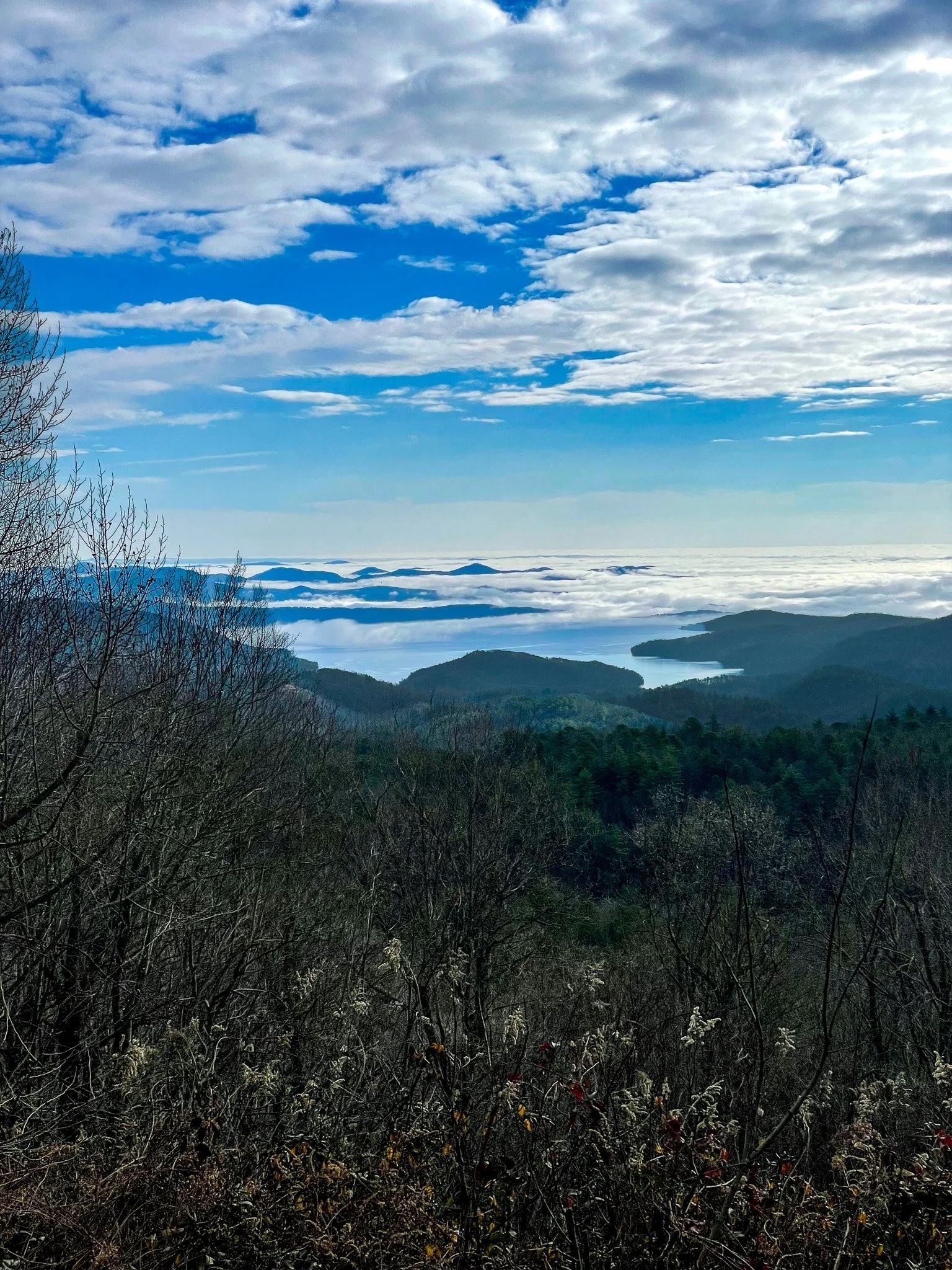 The Ultimate Guide to Dog-Friendly Hotels in Highlands, NC