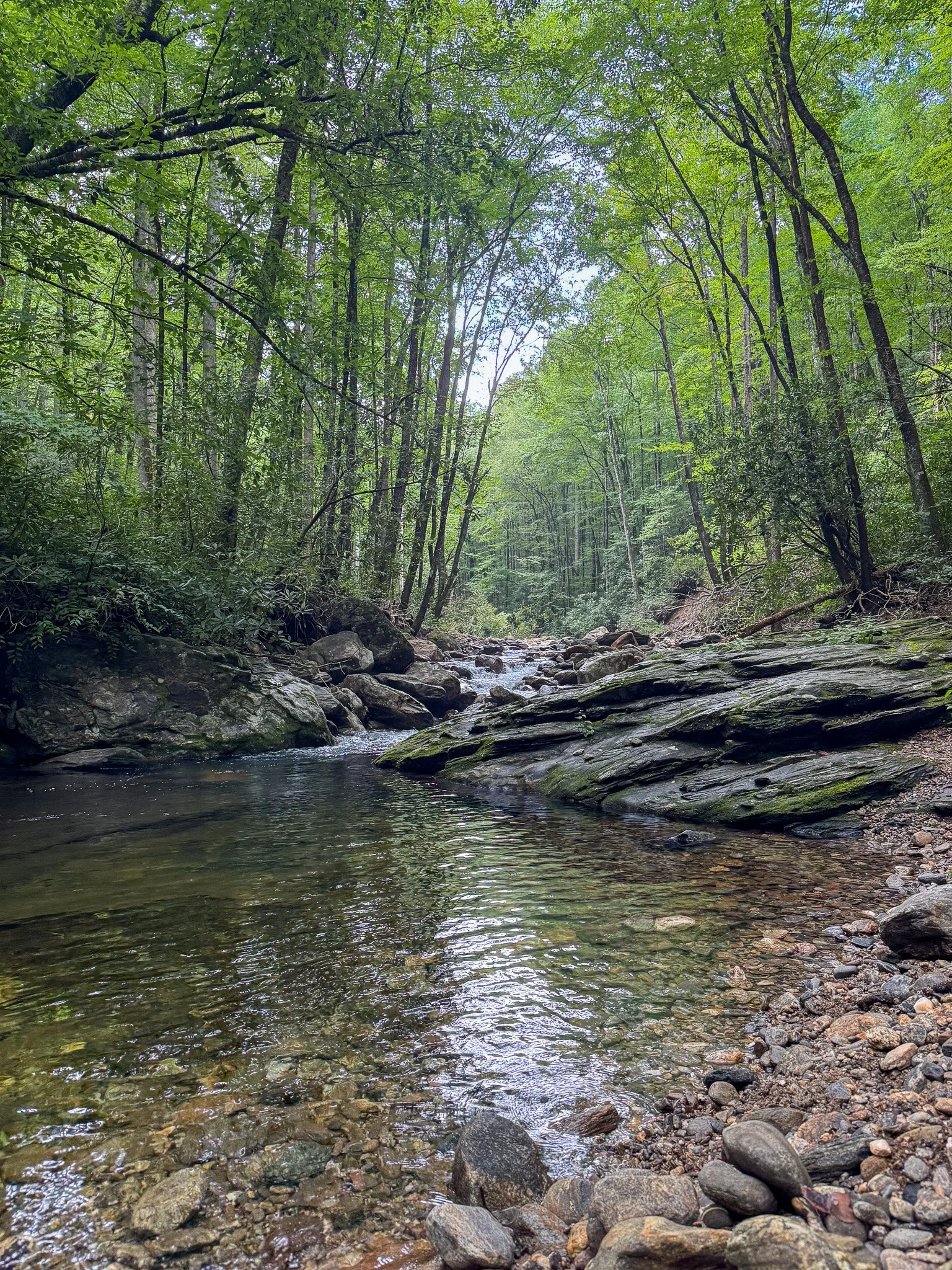 Daniel Ridge Loop swimming hole Pisgah National Forest