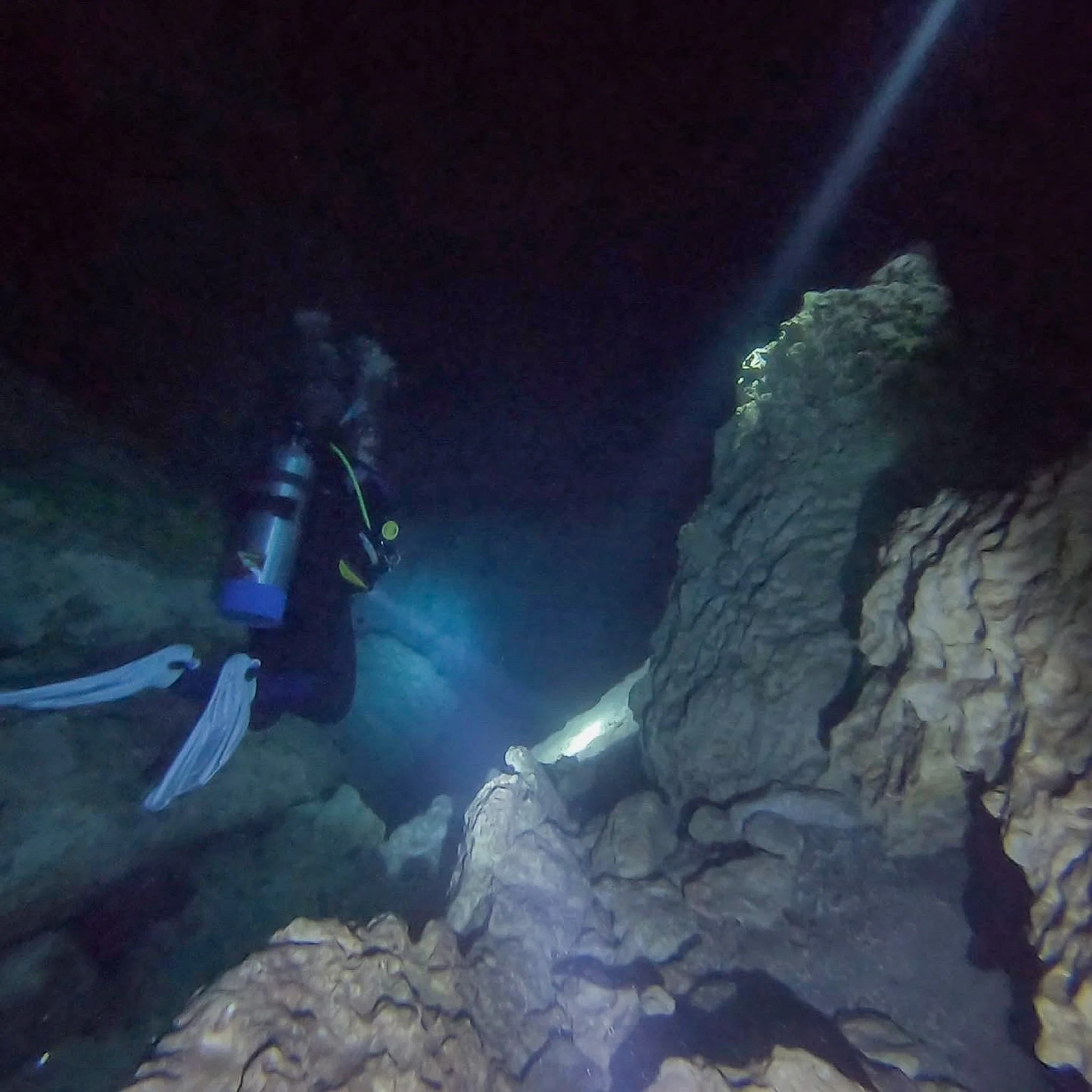 author swimming in the dark of Devils Den williston fl