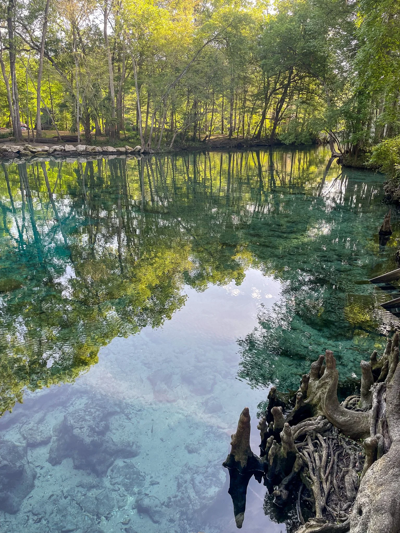 view of ginnie spring from surface