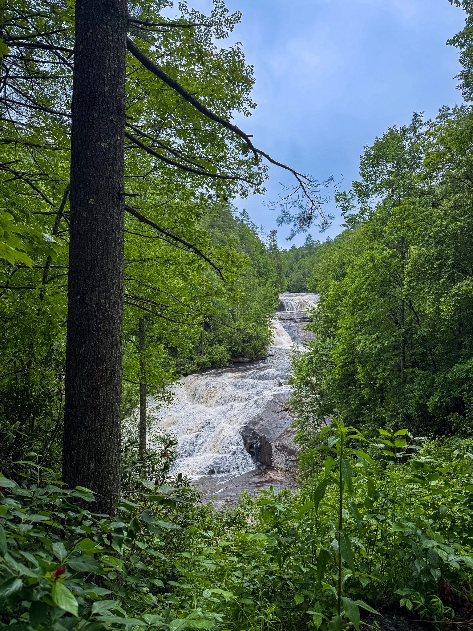 triple falls dupont state forest north carolina