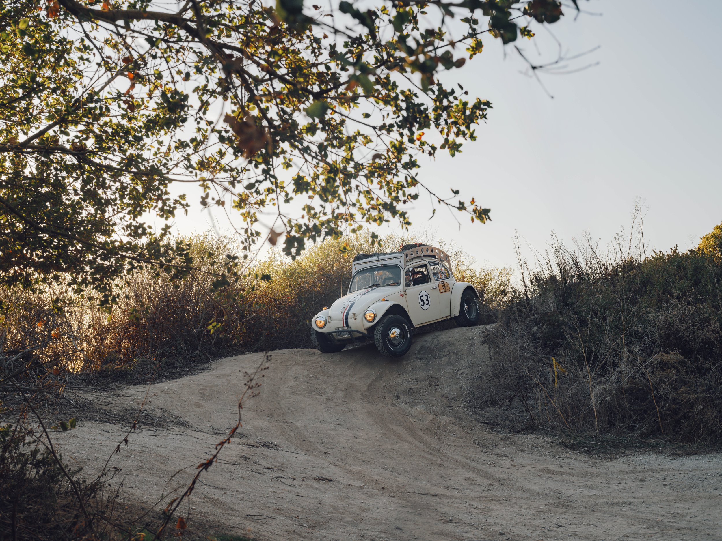 A vintage white Volkswagen Beetle with rally markings and the number 53 on the side, navigating a dirt road bordered by shrubs and trees, with a clear sky above.