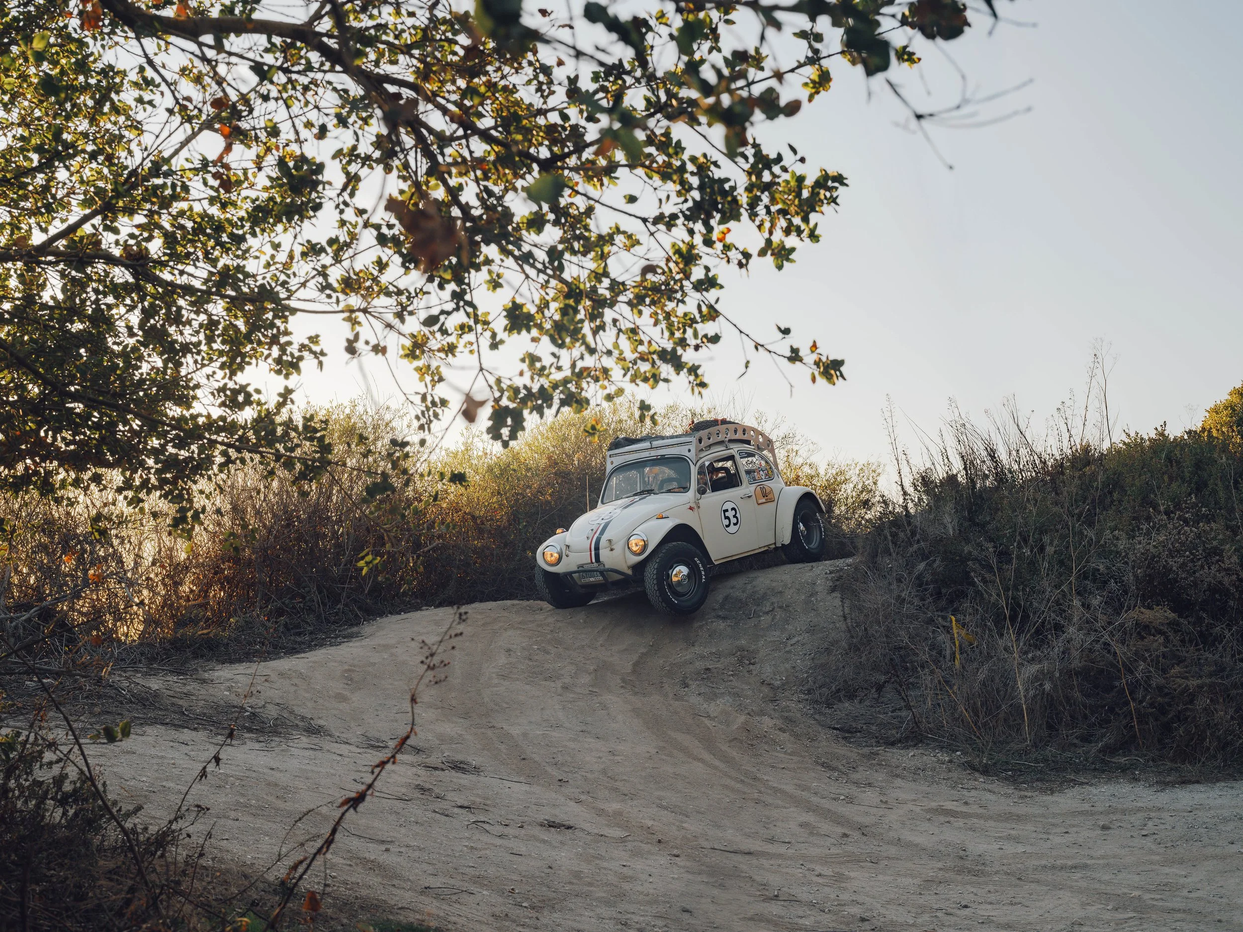 A vintage white Volkswagen Beetle car with racing number 53 on the door, driving on a dirt road surrounded by bushes and trees with leaves, under a clear sky.
