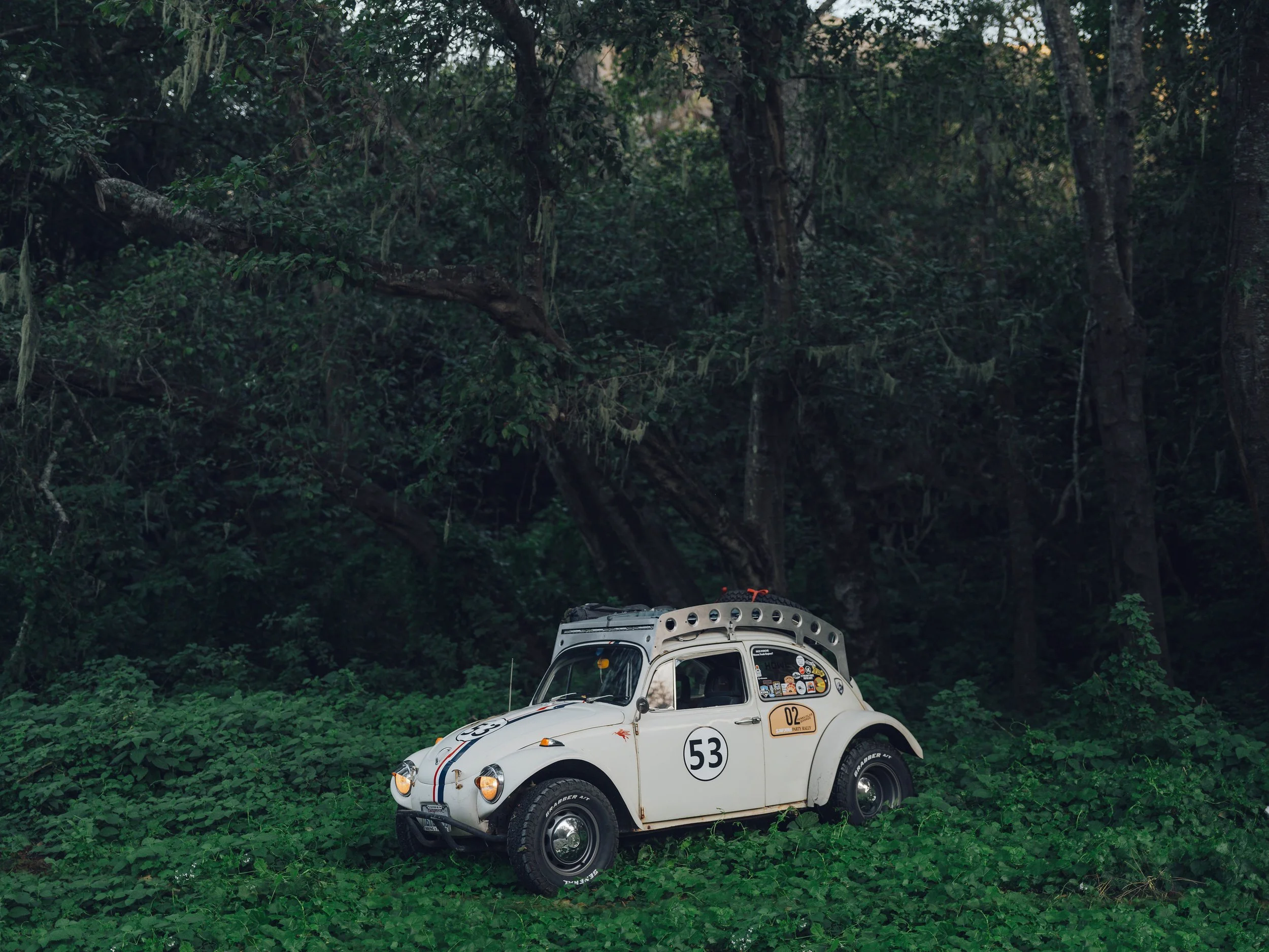 A vintage white Volkswagen Beetle car with racing decals and the number 53 on its doors, parked on green foliage in a dense forest with tall trees and hanging moss.