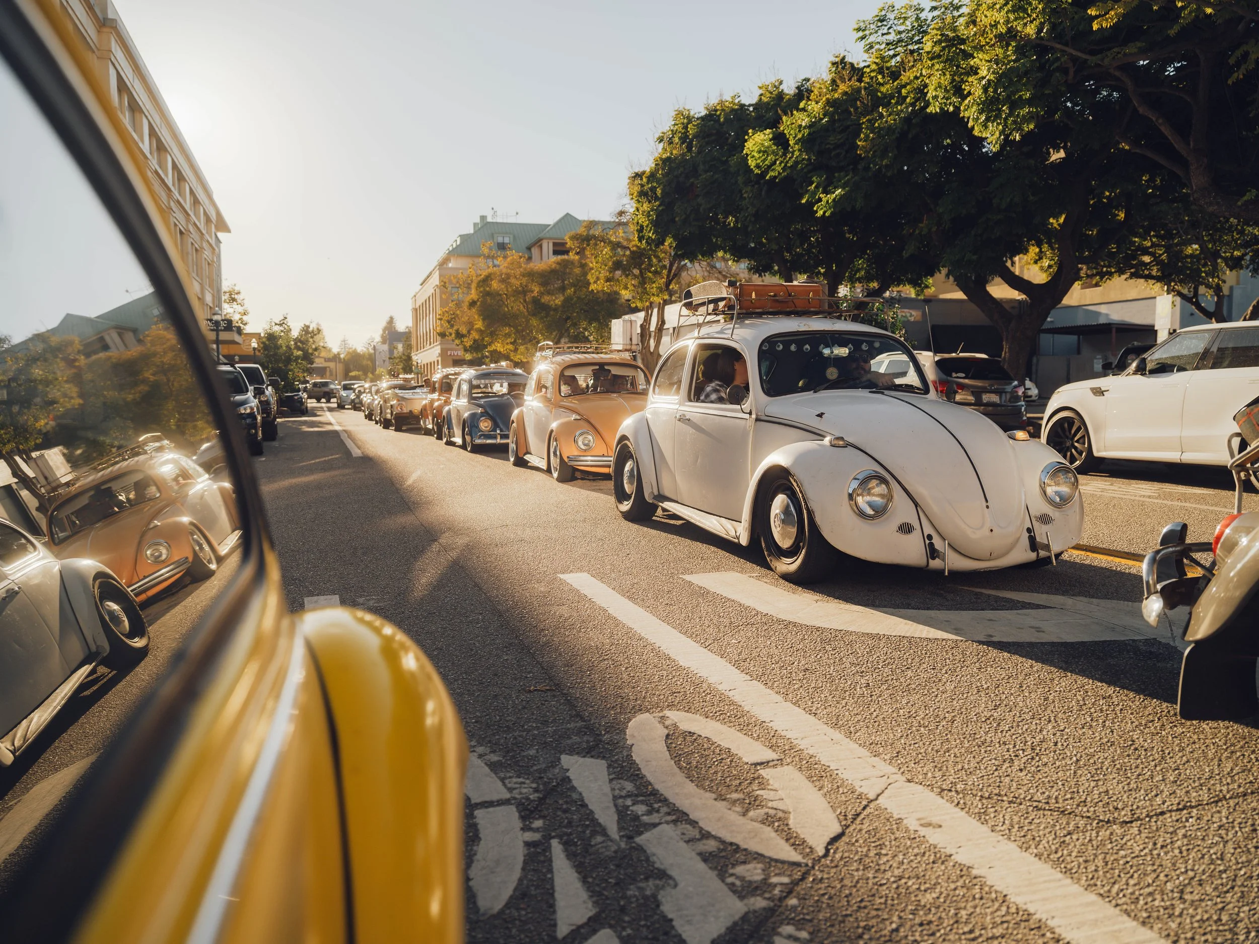 A line of vintage Volkswagen Beetle cars driving down a city street during sunset, viewed from a motorcycle.