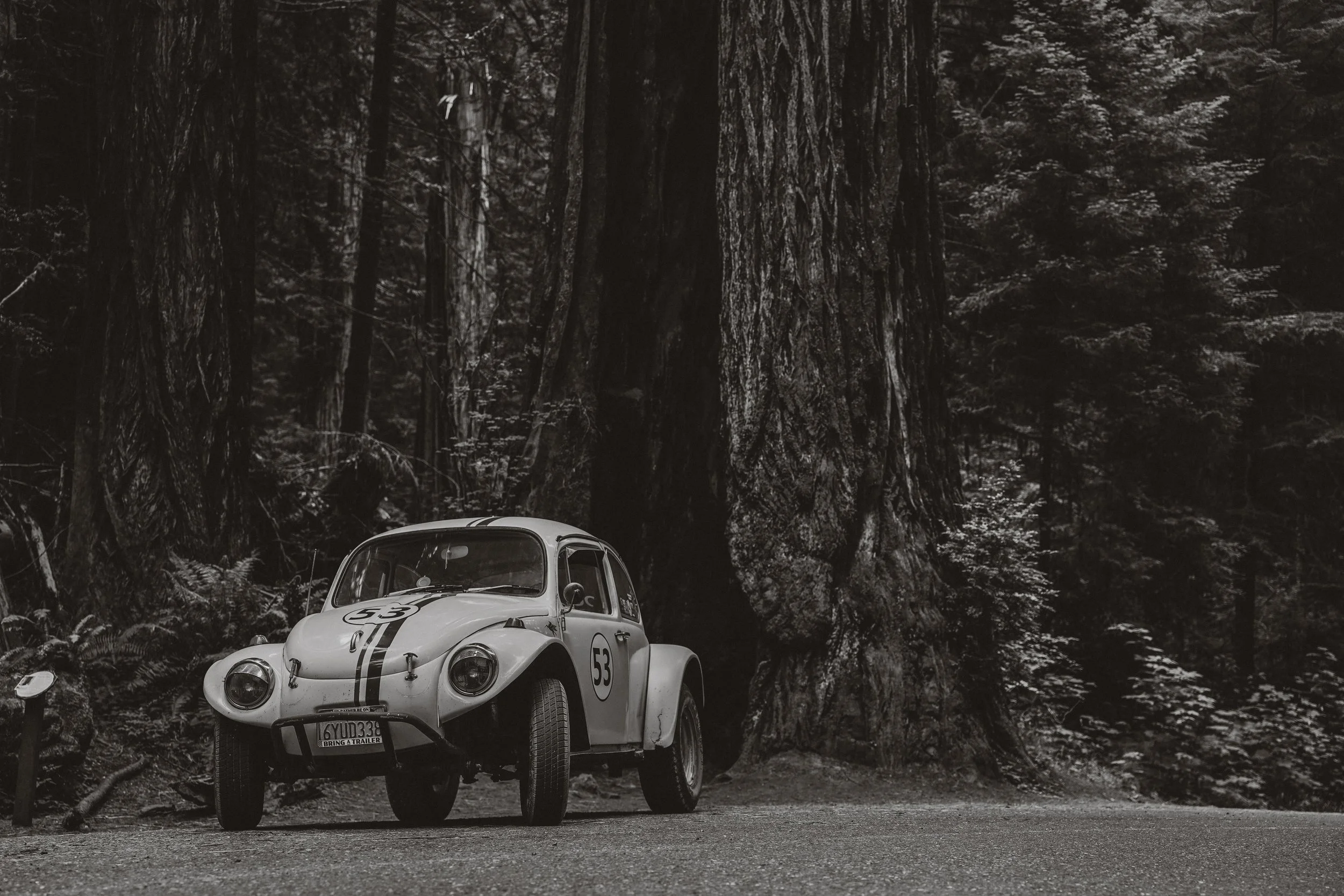 A vintage racing car with the number 53 parked on the side of a forested road in front of large trees, black and white photograph.