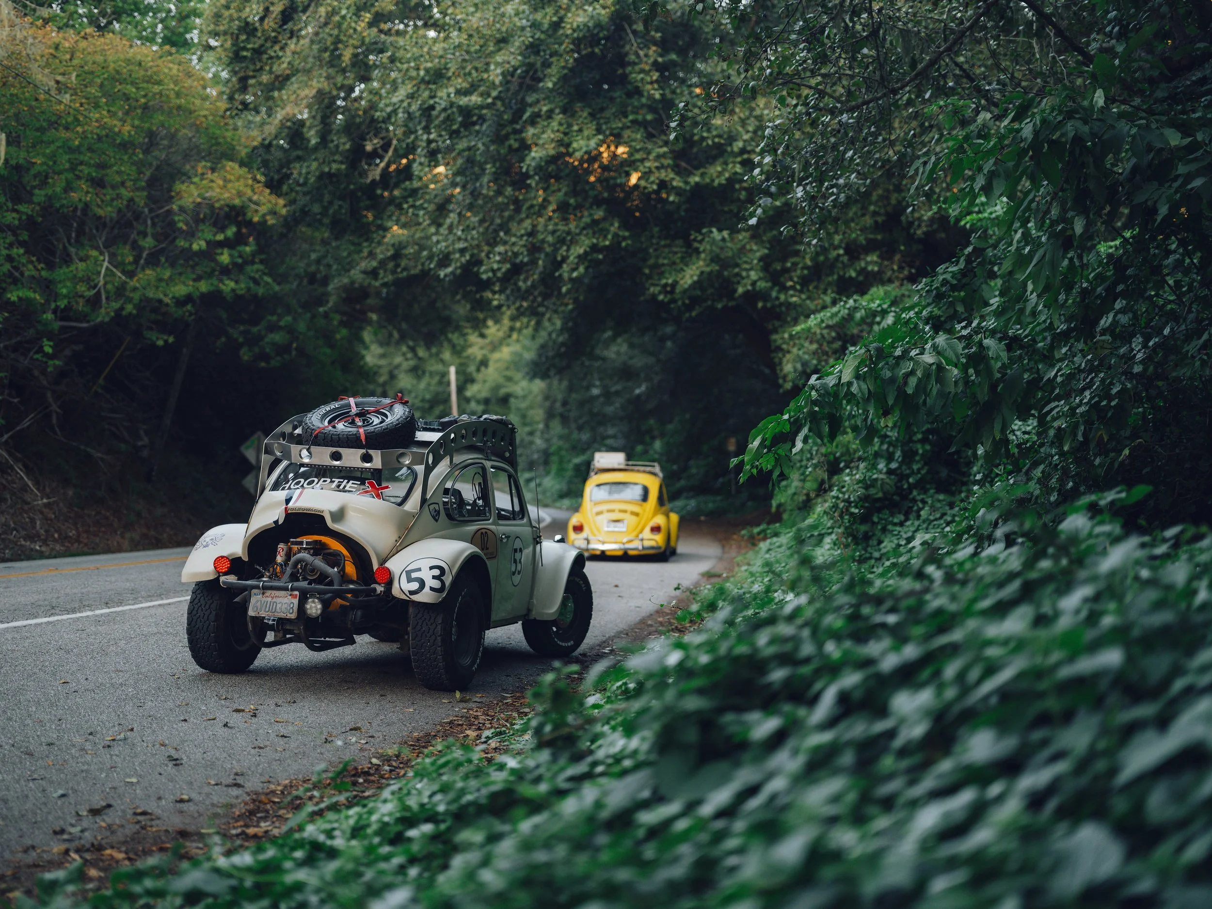 Two vintage cars, a white dune buggy with racing number 53 and a yellow Volkswagen Beetle, driving along a winding forest road surrounded by dense green trees and bushes at dusk.