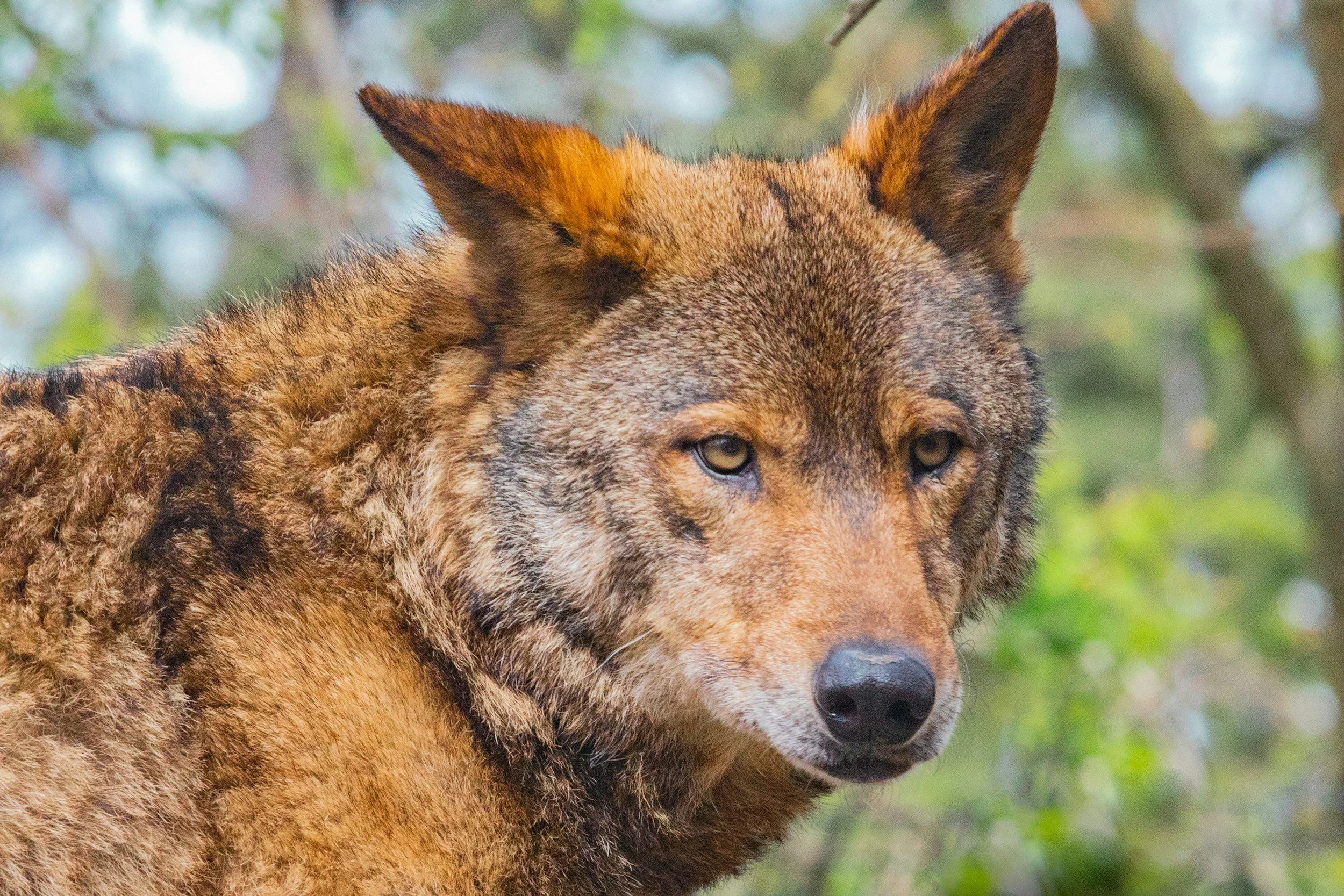 unsplash-image-u8g-9yO9Mgo.jpg