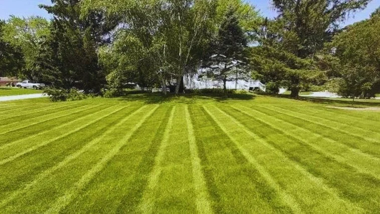 A well-maintained green lawn with mowing lines, surrounded by trees and a body of water in the background.