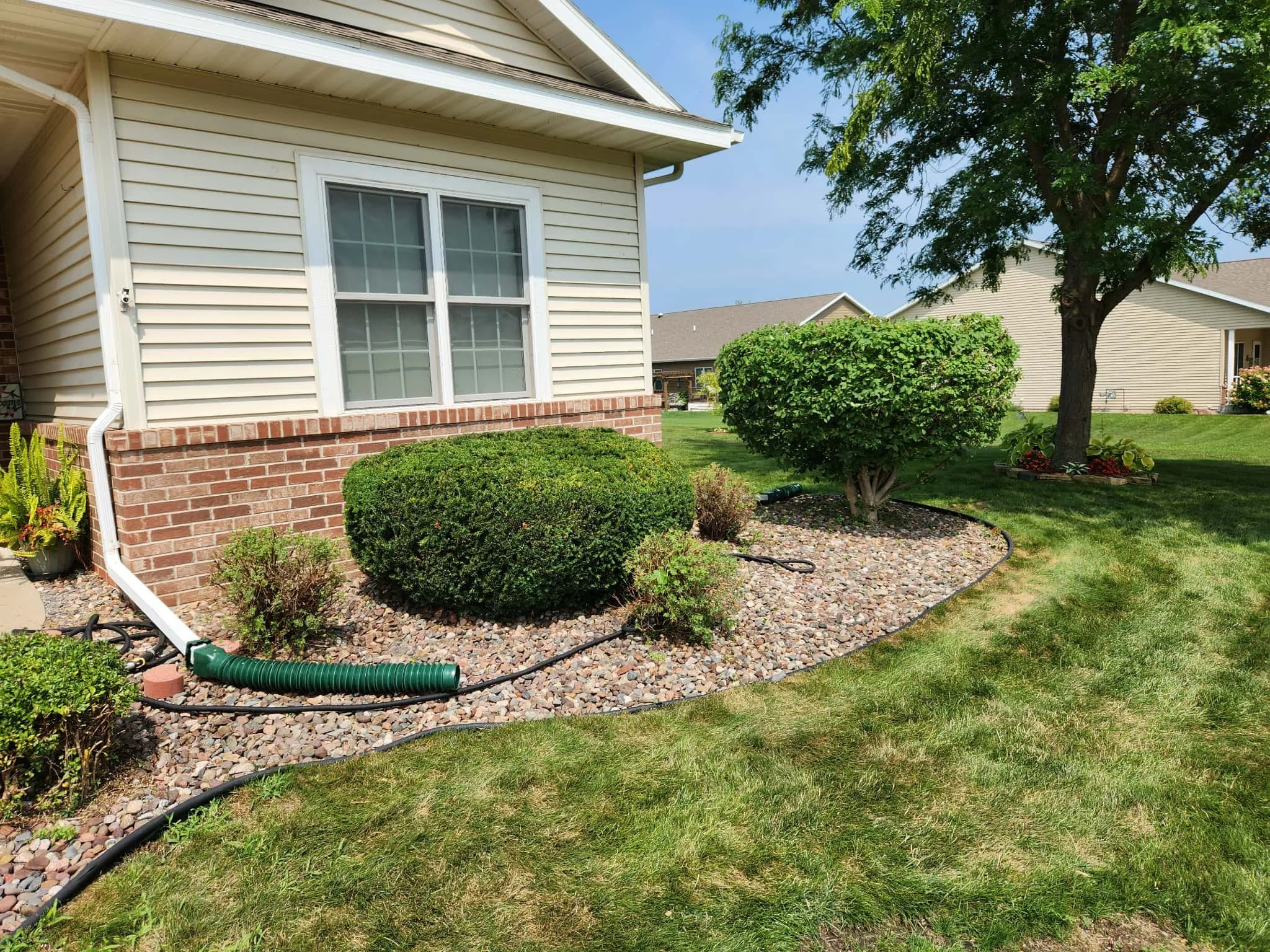 A landscaped yard with bushes, a tree, and a lawn next to a house with beige siding, brick foundation, and white trim around the window.