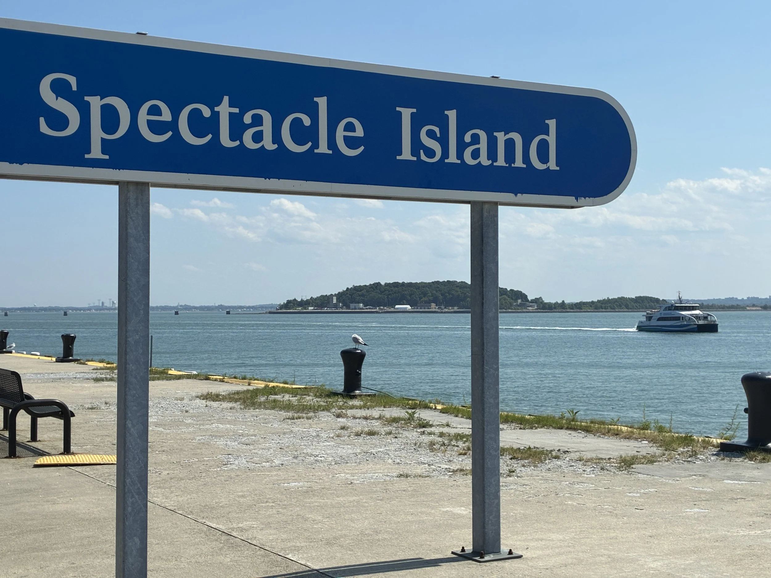MBTA Ferry to Spectacle Island for the Parade of Sail! A great reminder of the many exciting destinations around our harbor. -Renee T.