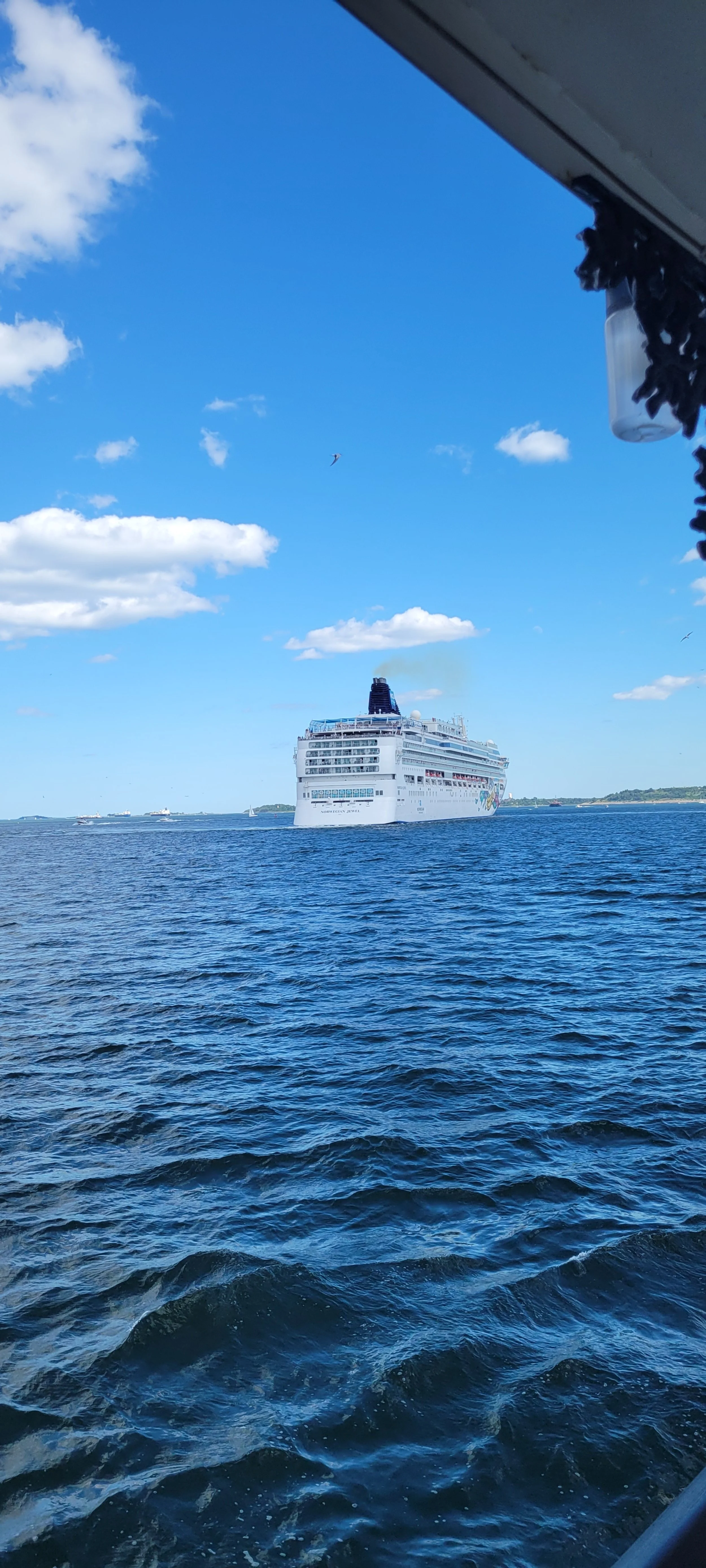 Harbor for the giant. -Nivaldo D.C.