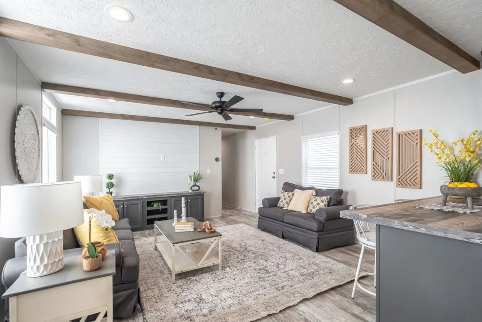 Ann Choice Living Room.jpg
