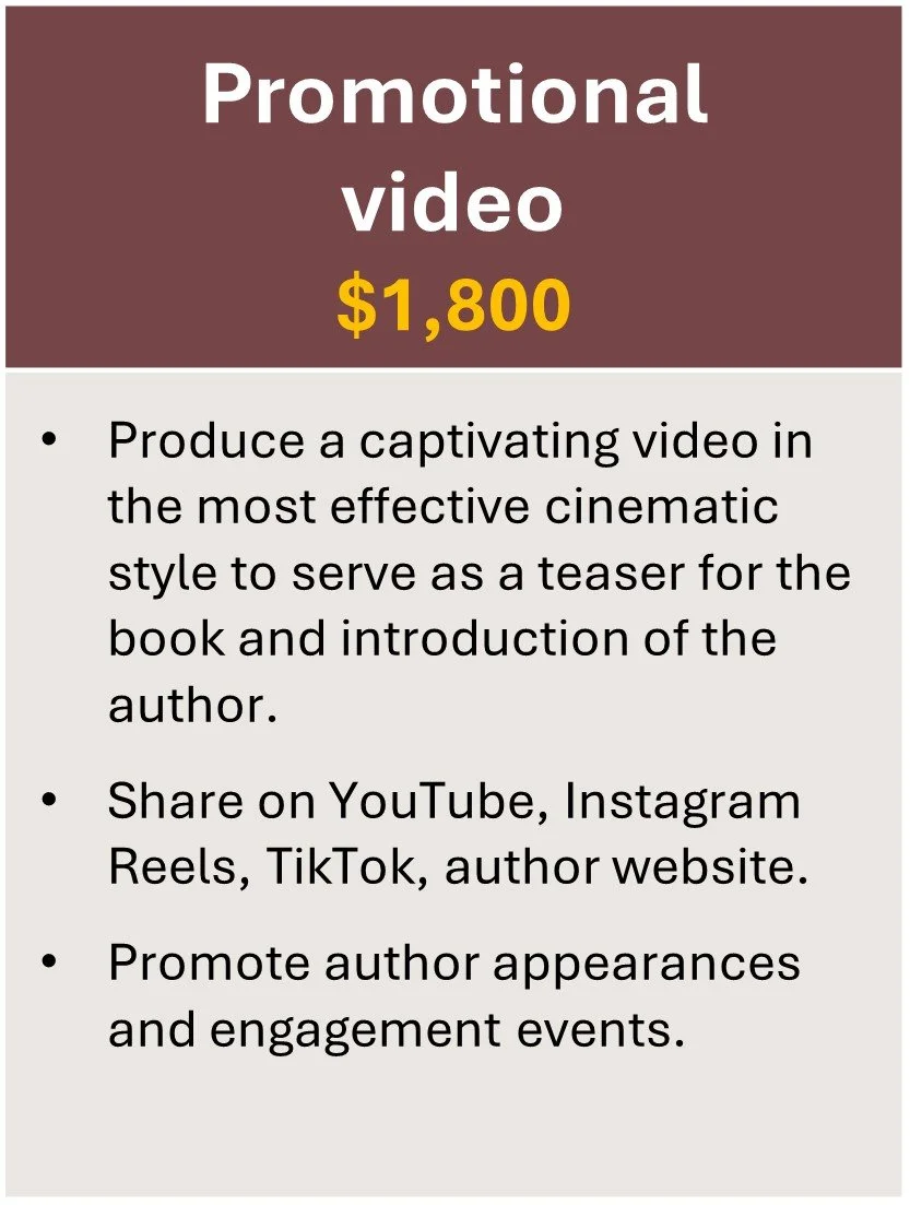 2-Promo video.jpg