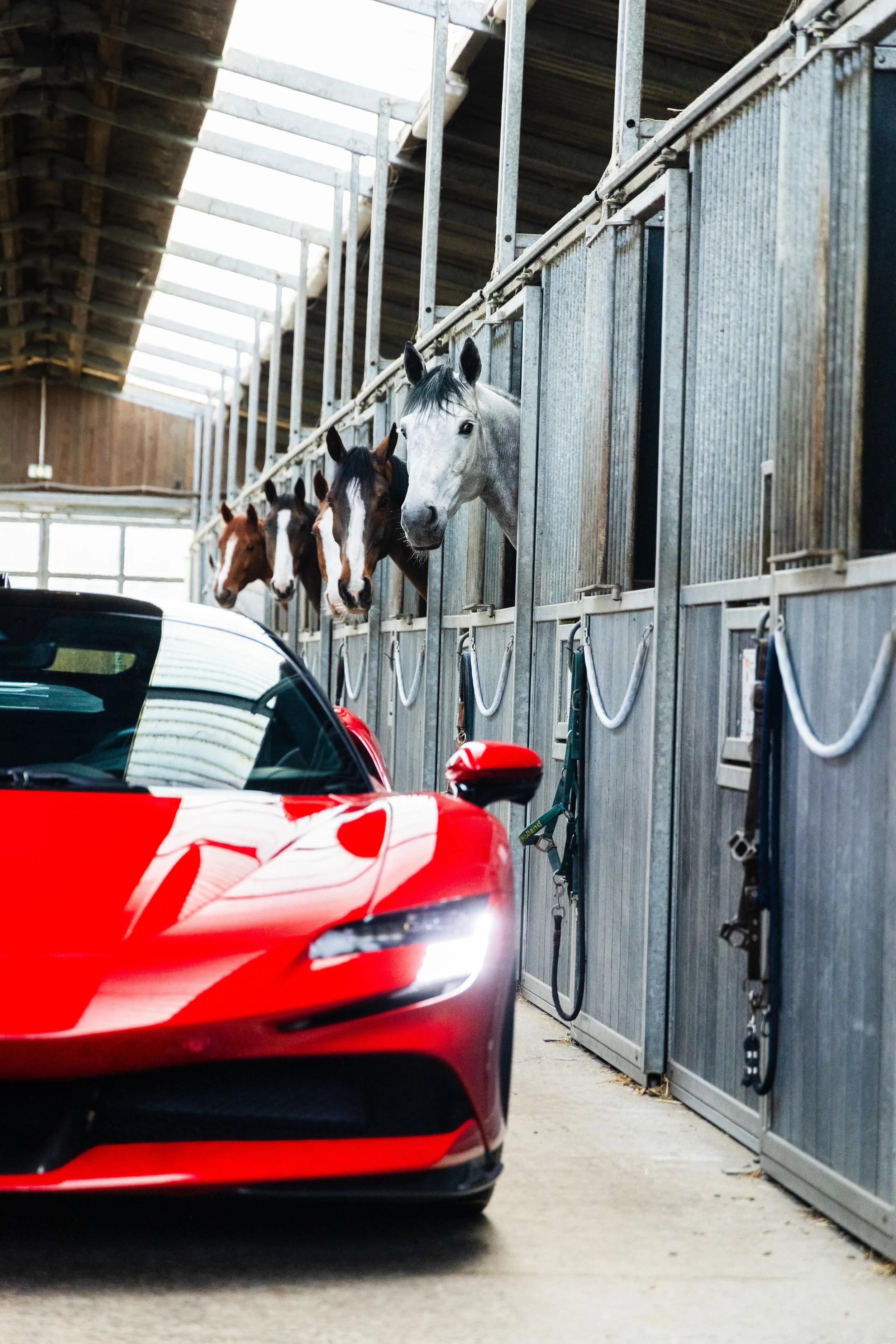 0E7A1537 13.35.15.jpg