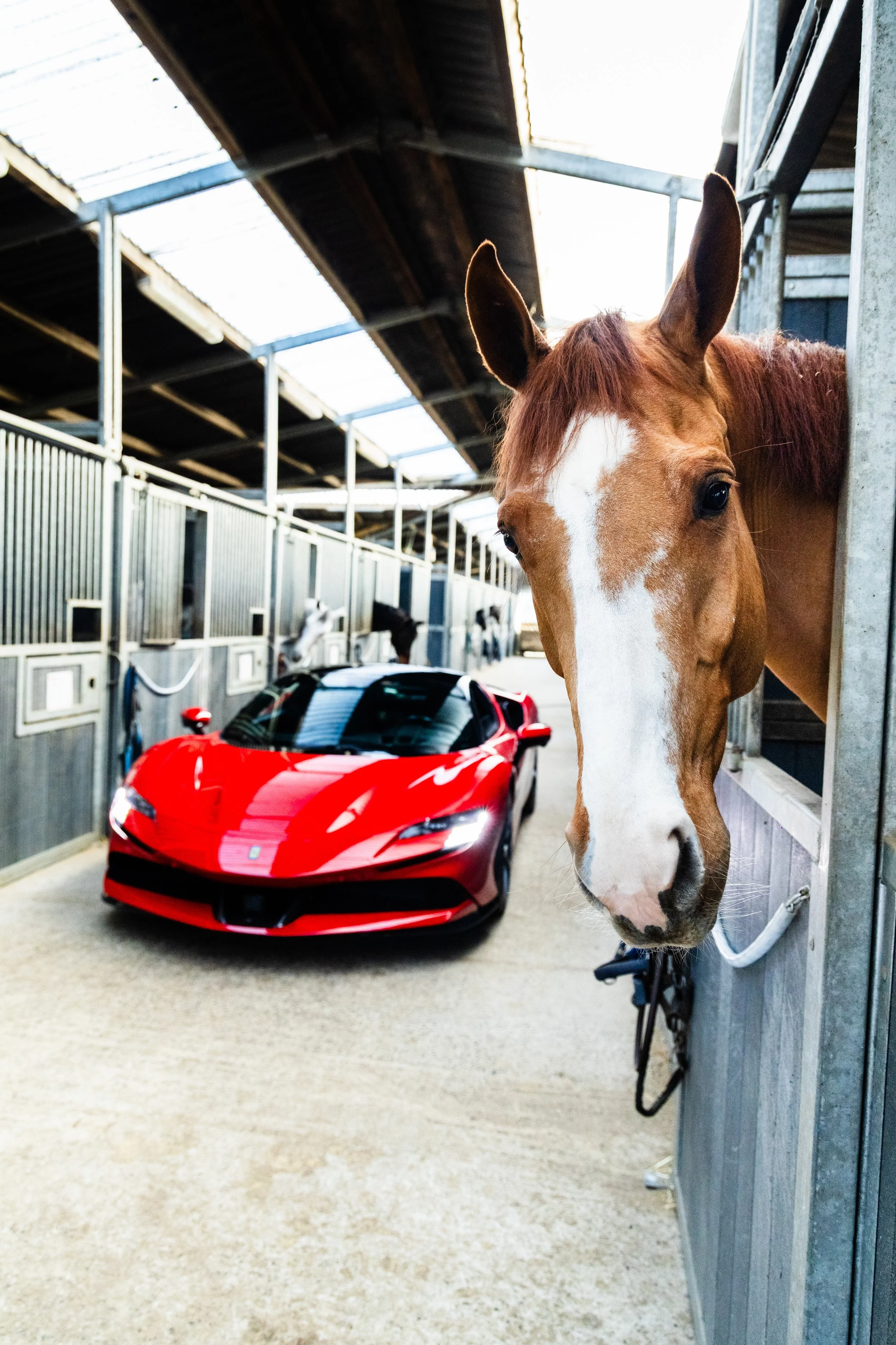 0E7A1574 13.35.15.jpg