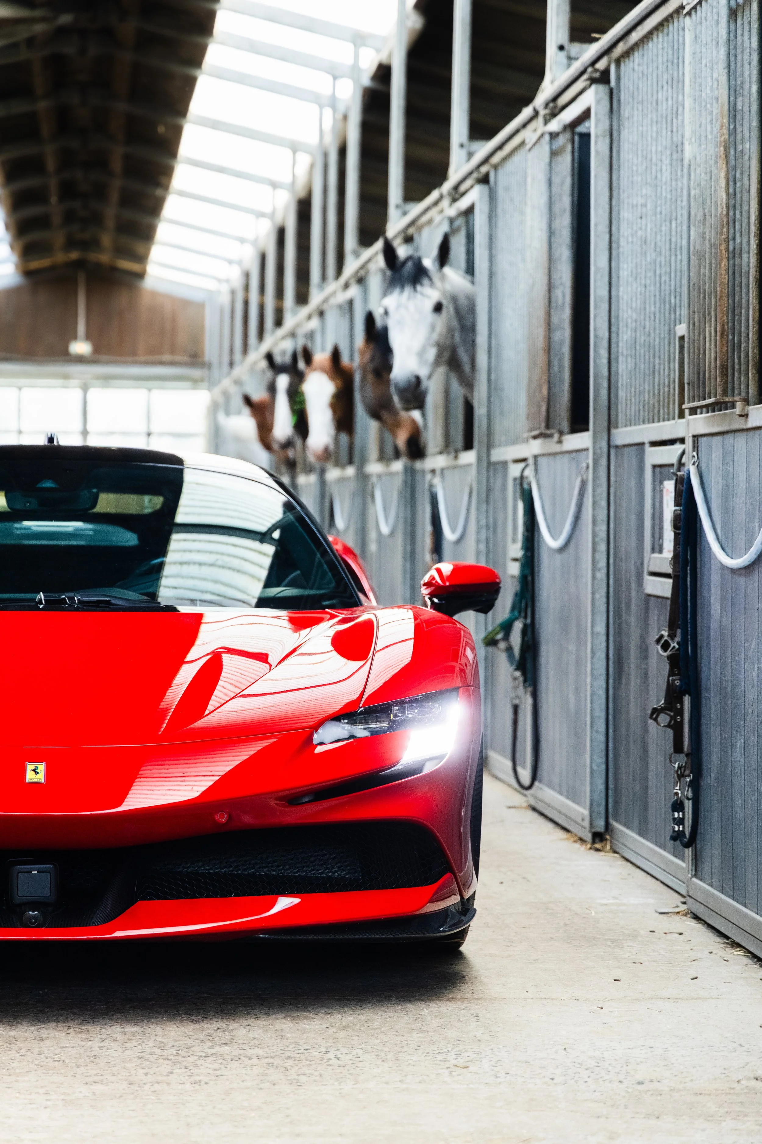 0E7A1540 13.35.15.jpg