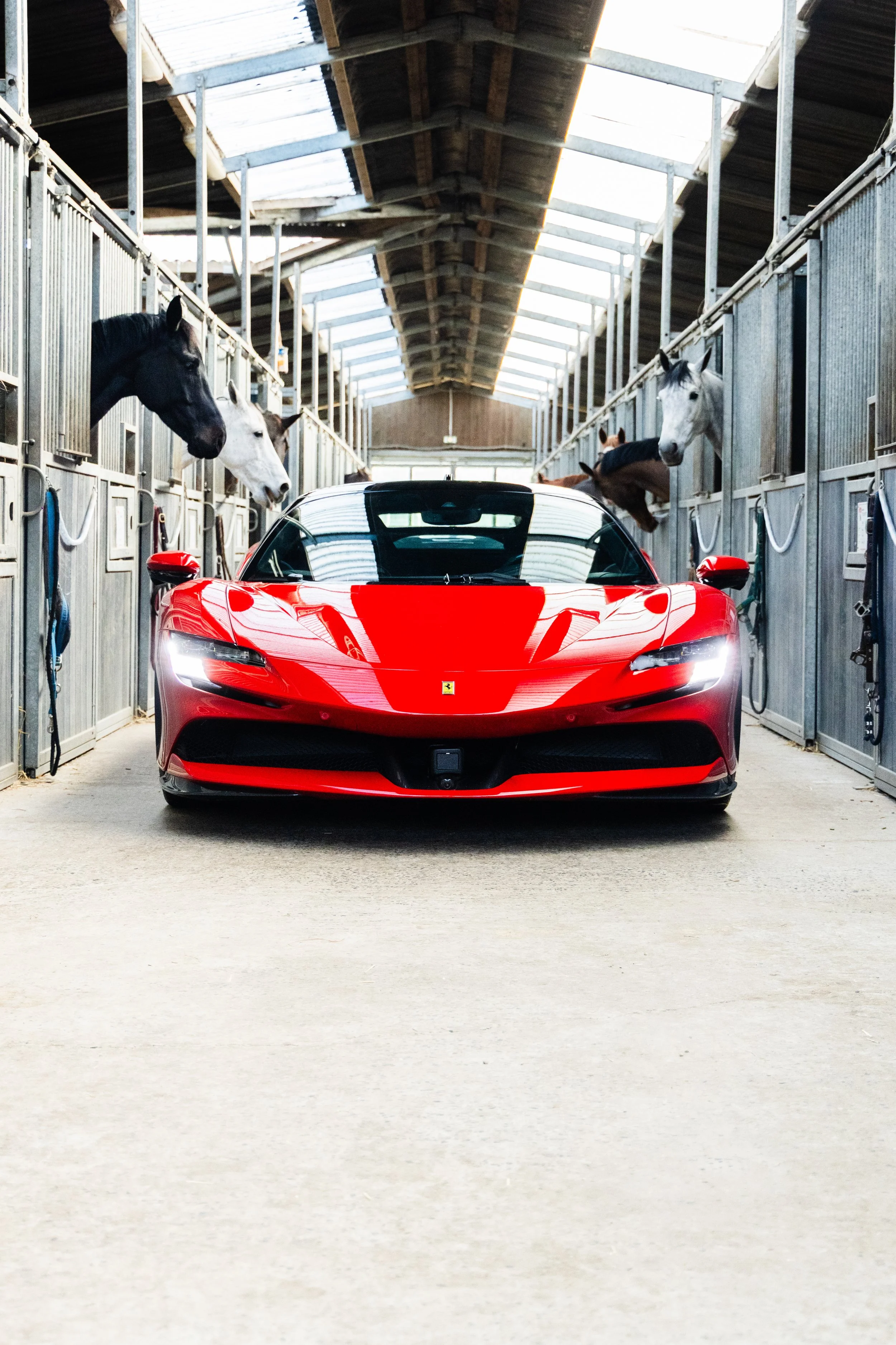 0E7A1548 13.35.15.jpg