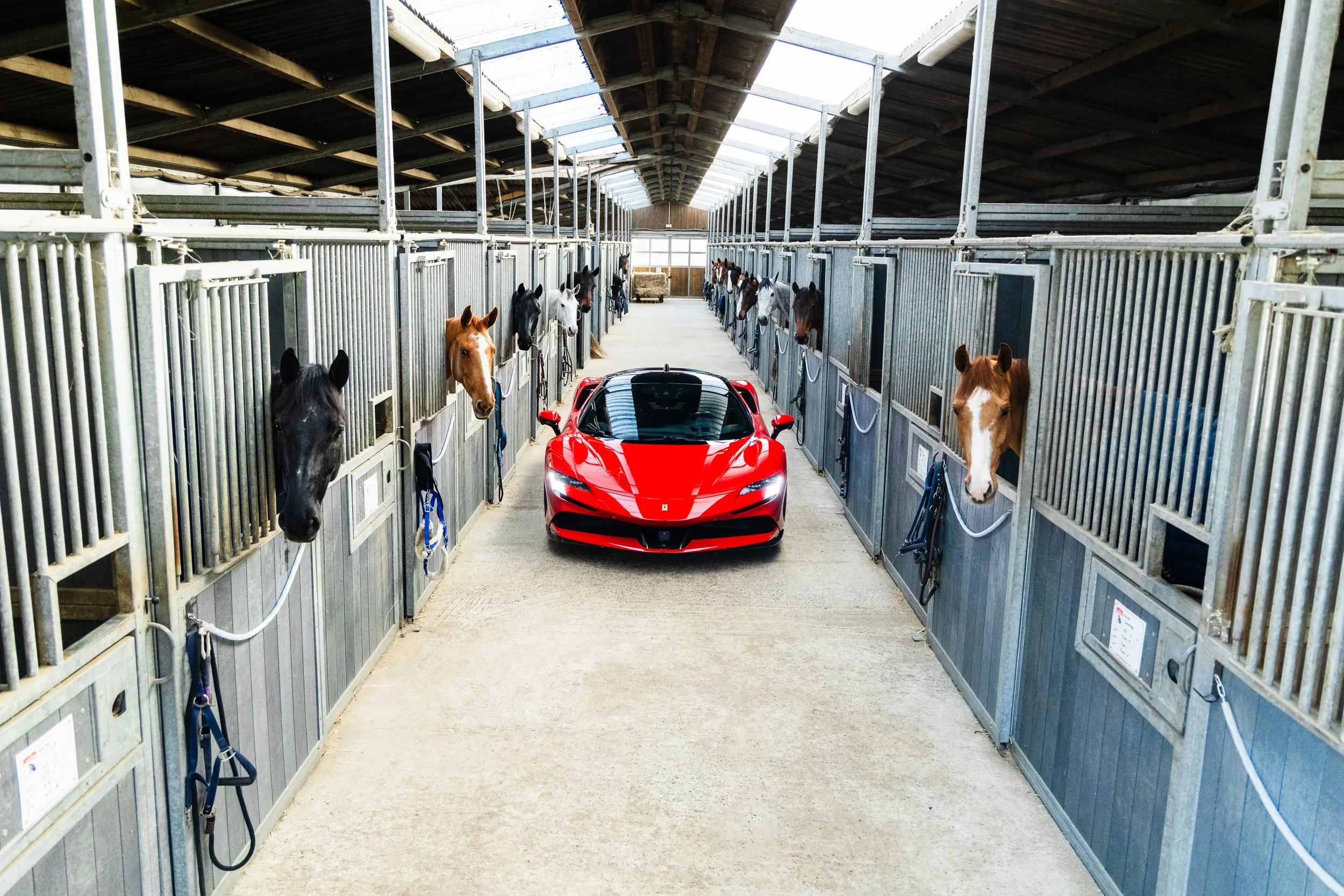 0E7A1455 13.35.15.jpg