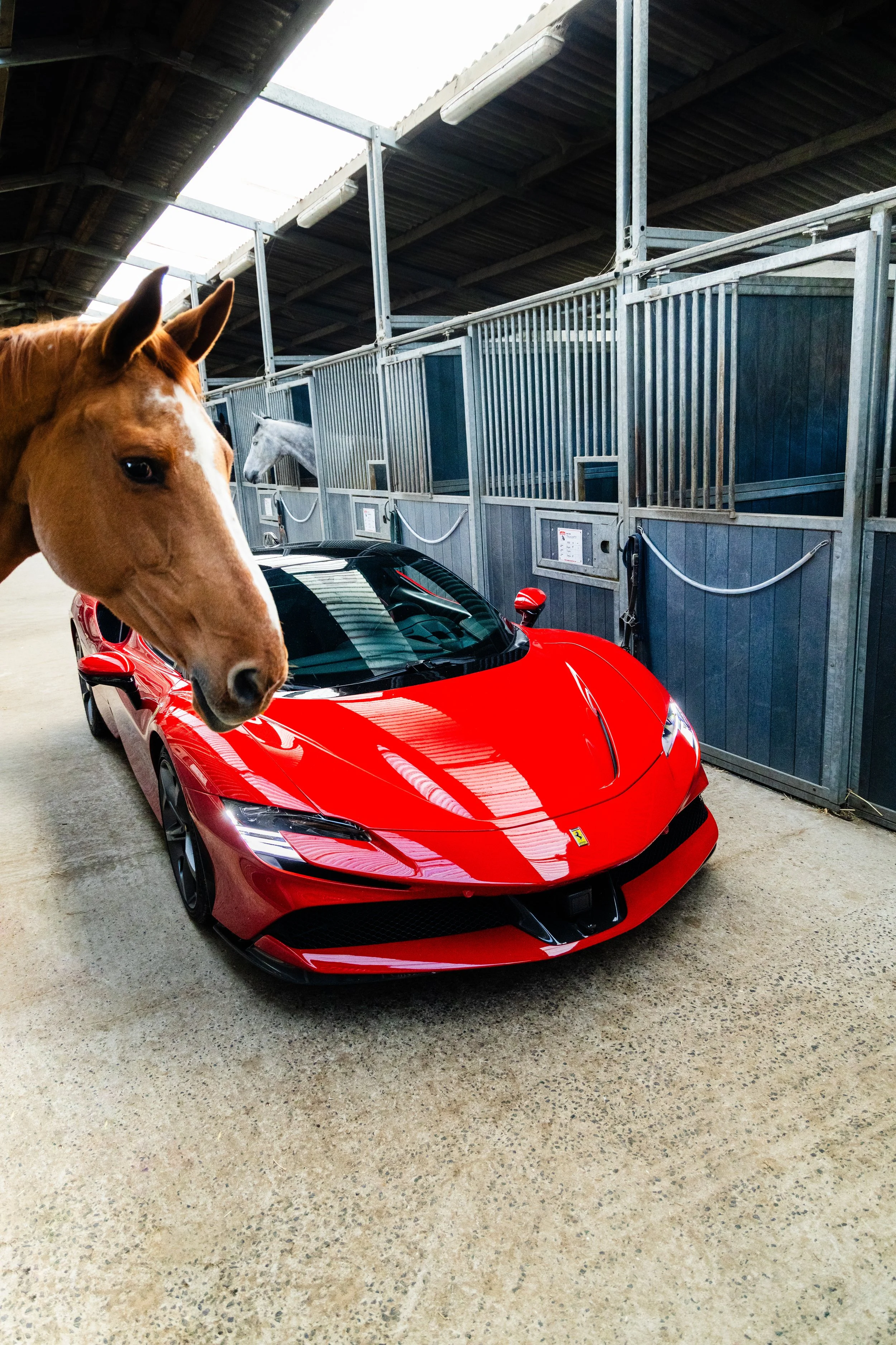 0E7A1577 13.35.15.jpg