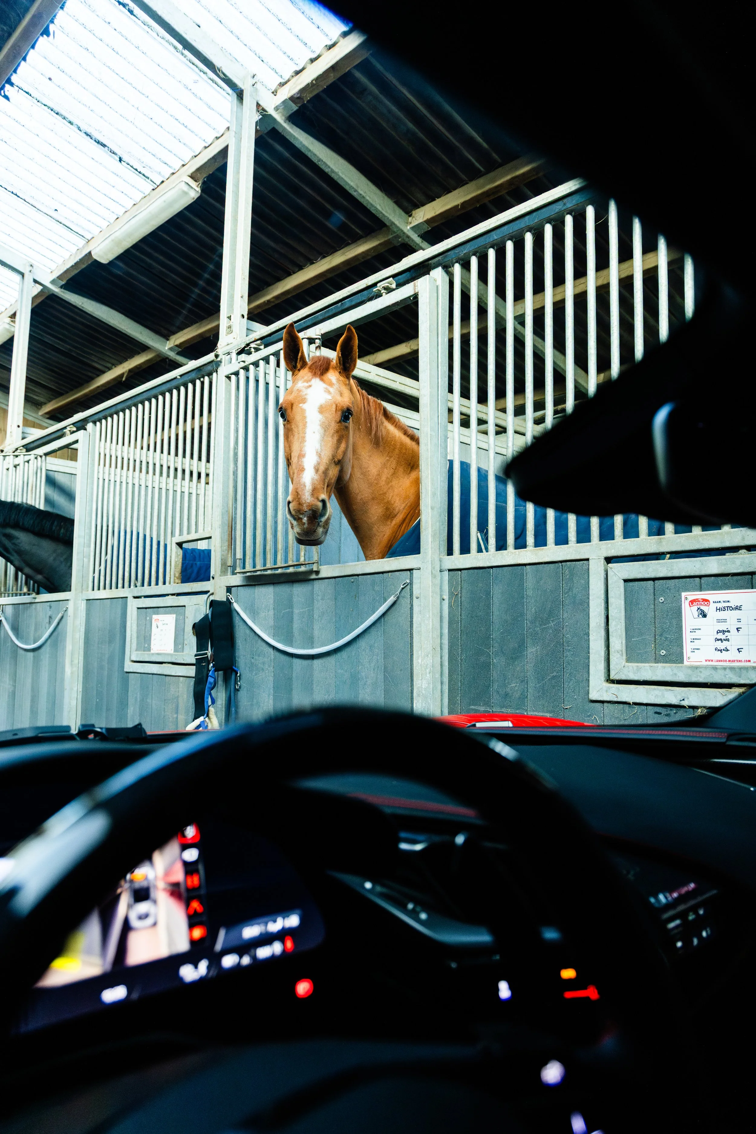 0E7A1580 13.35.15.jpg