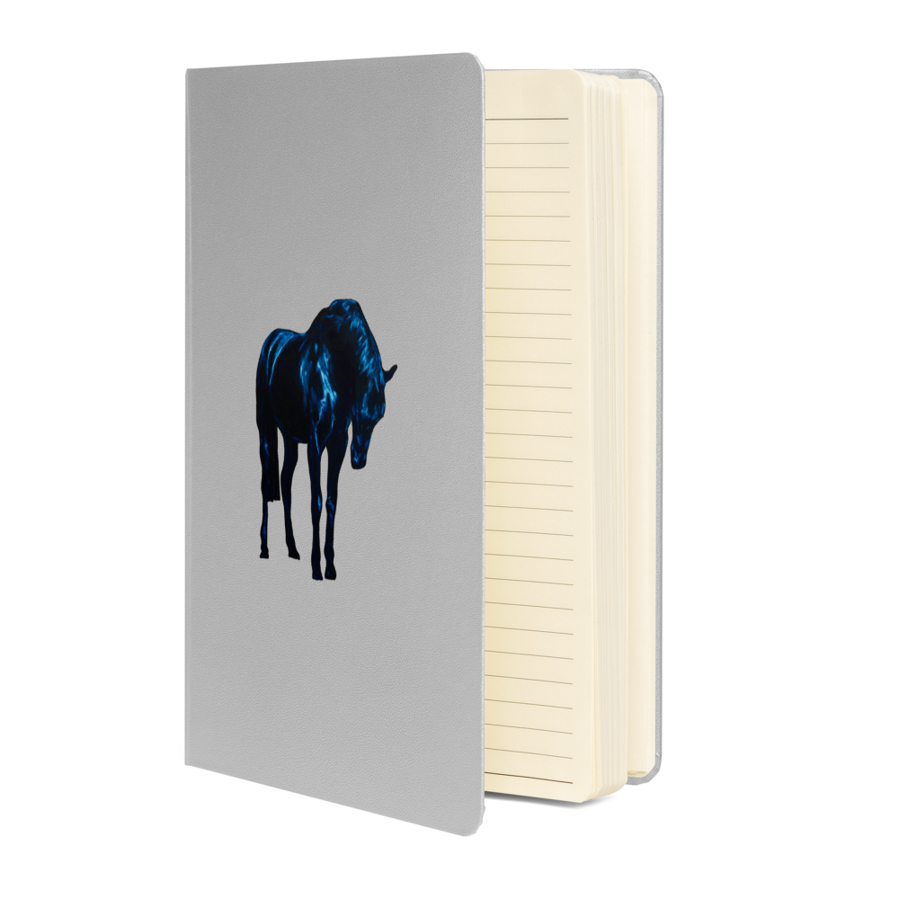 hardcover-bound-notebook-silver-front-69e977be652a5.png