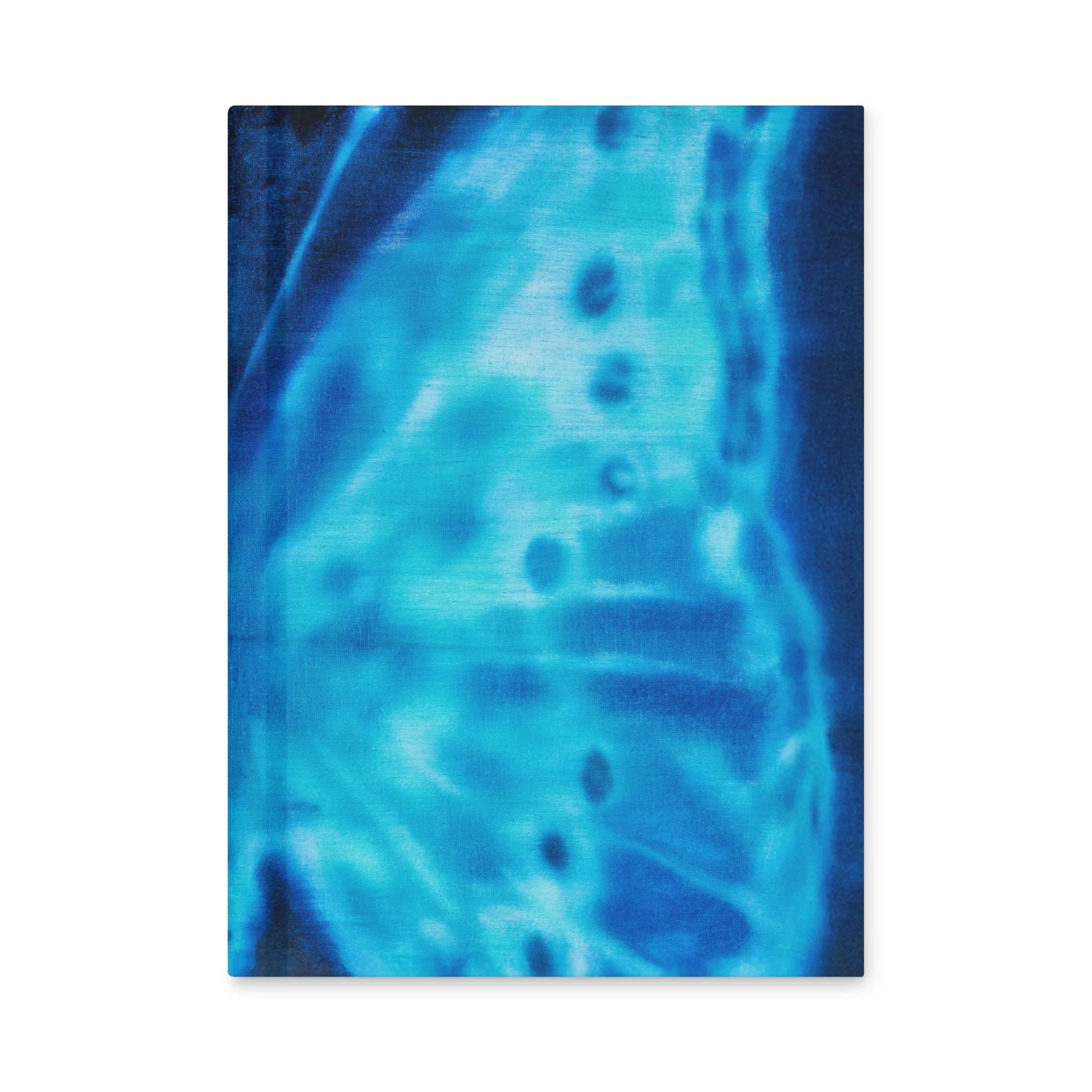 Papilionidae #1 Hardcover Journal