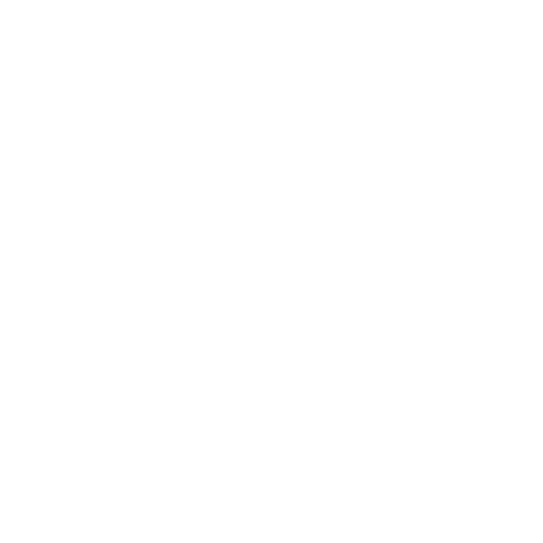 TAYLOR ANN MECKLEY