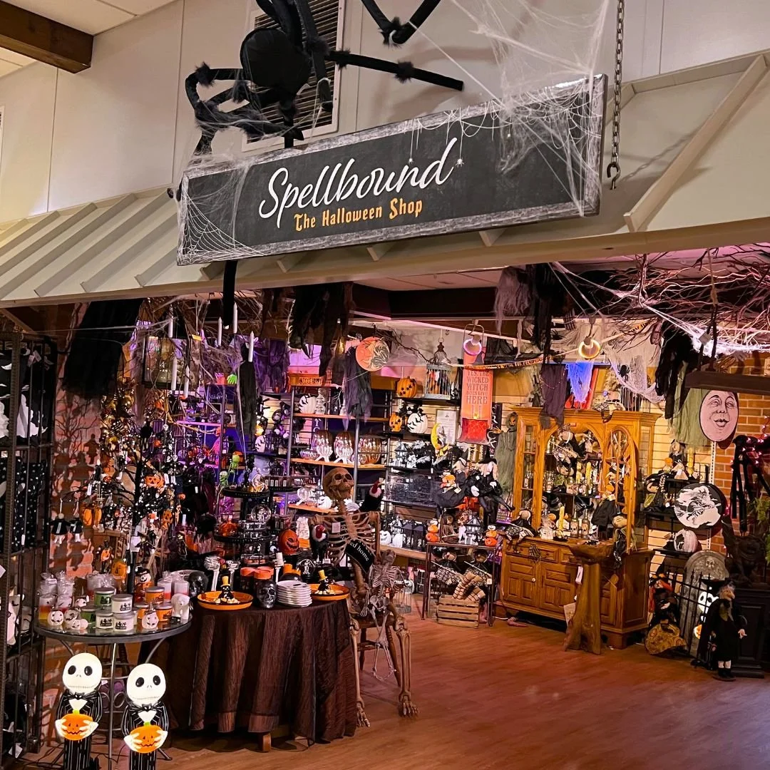 Untitled design - 2025-11-04T092344.806.jpg