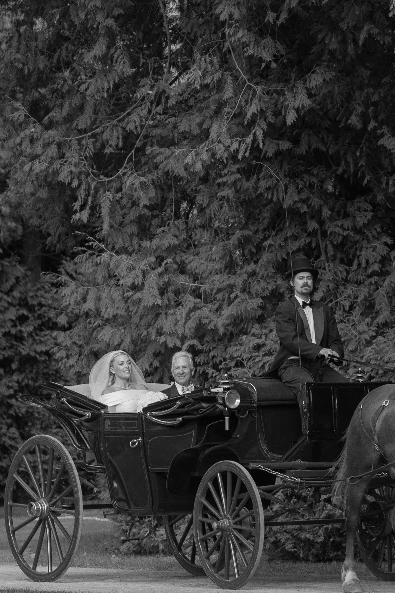 Elegant bride in a horse-drawn carriage on Mackinac Island, photographed in a dreamy, story-driven style