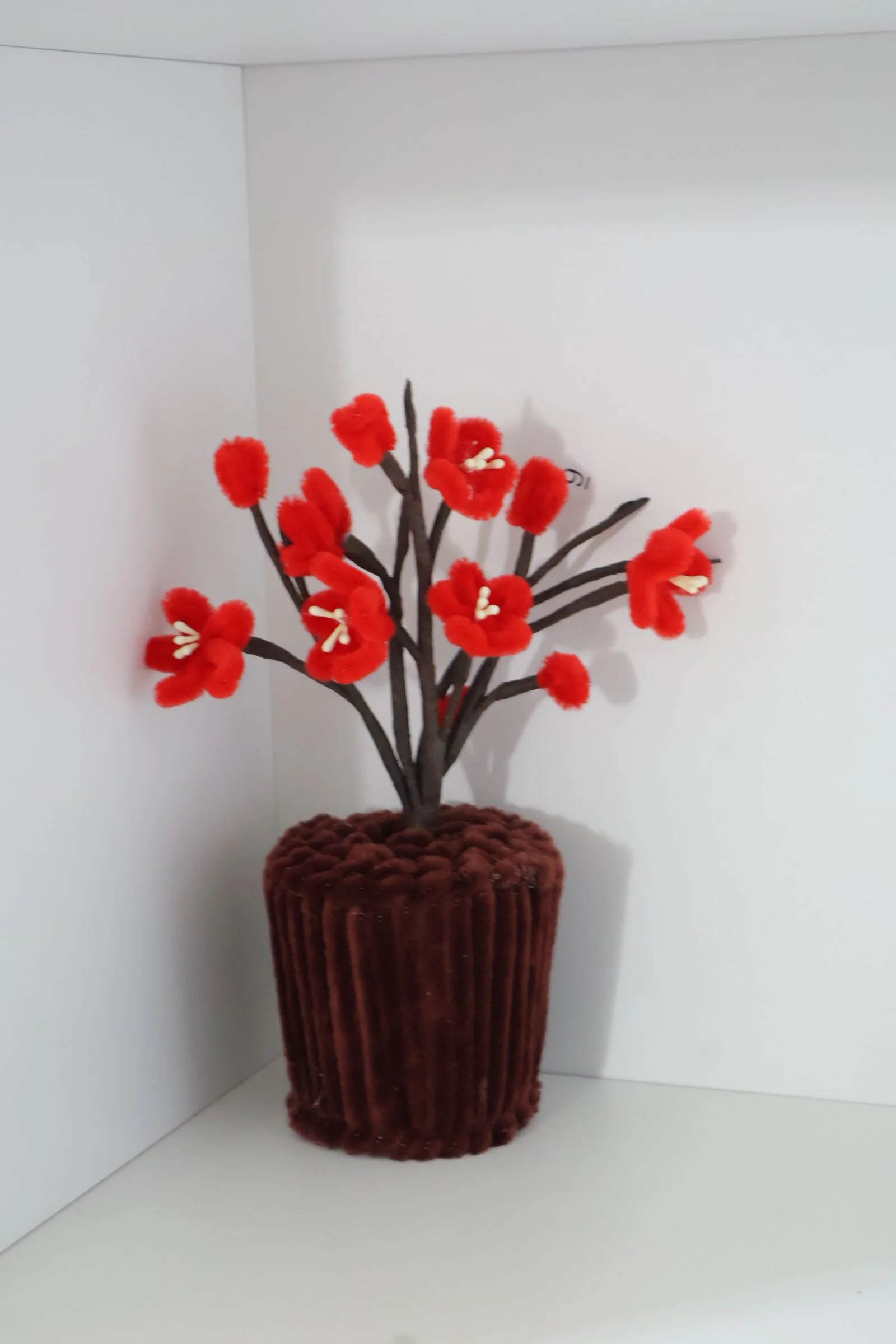 Plum Blossom Tree - Flower Pot.JPG