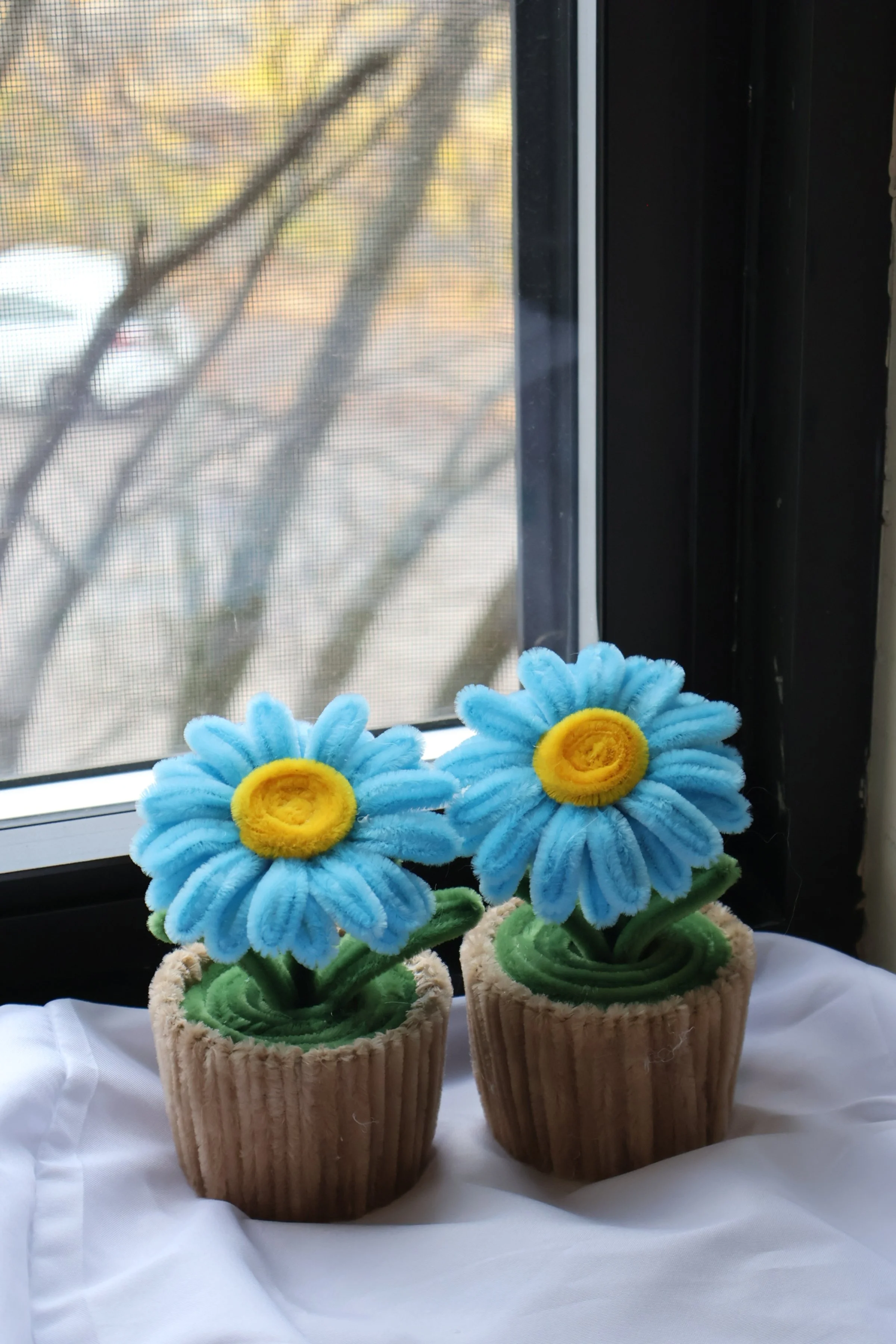 Blue Daisy Flower Pot .JPG